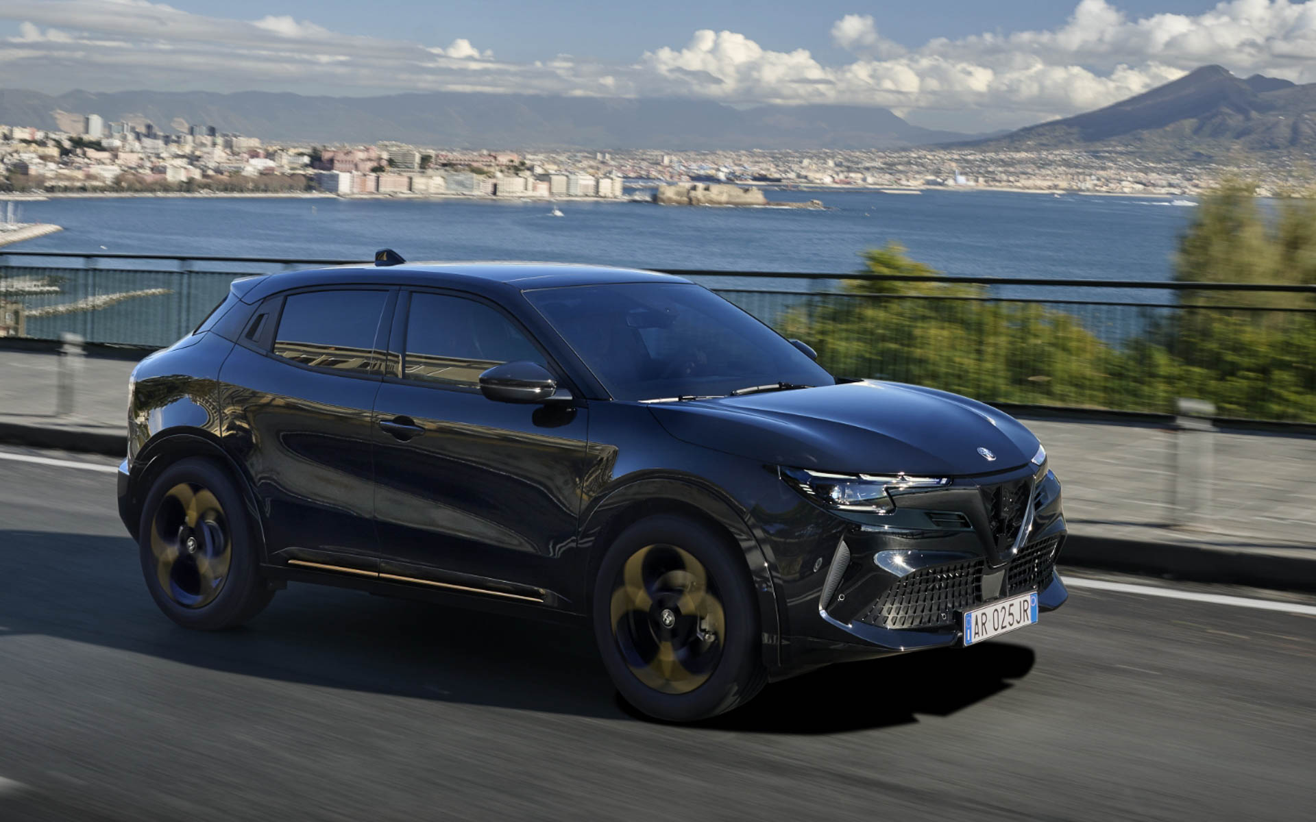 ジュニア イブリダ インテンサ