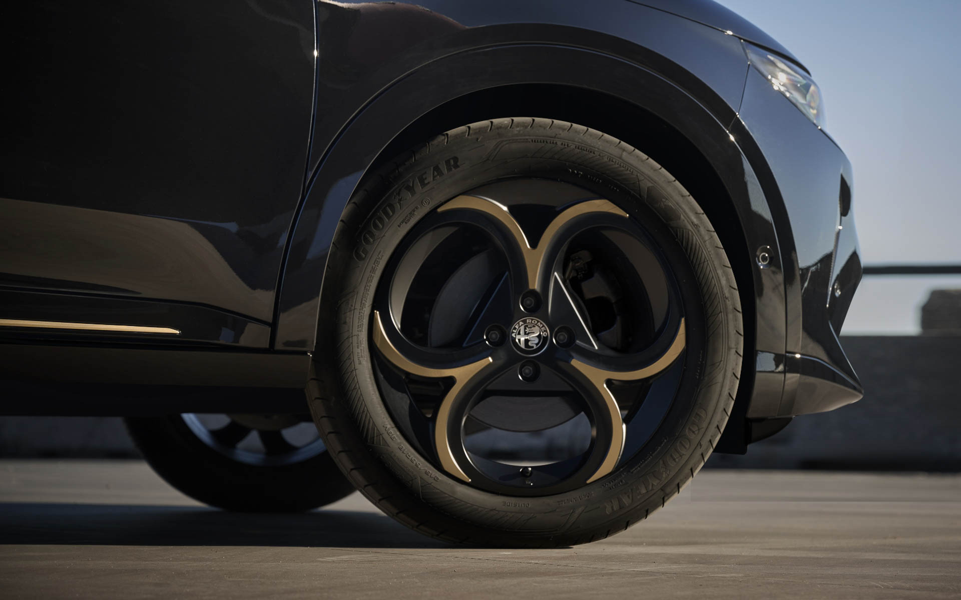 エクステリアはグロスブラックを基調にゴールドのアクセントを組み合わせる