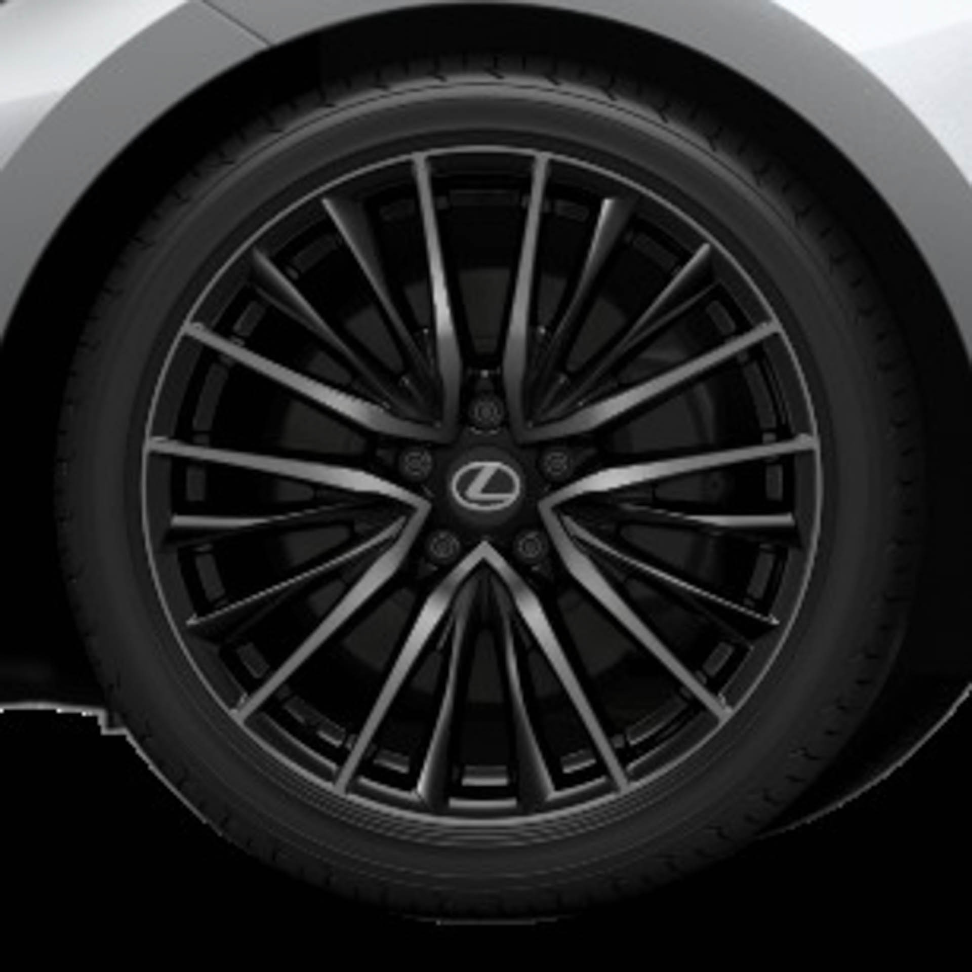 19インチアルミホイール ブラック塗装＋ダーククリア切削光輝（“versionL”）