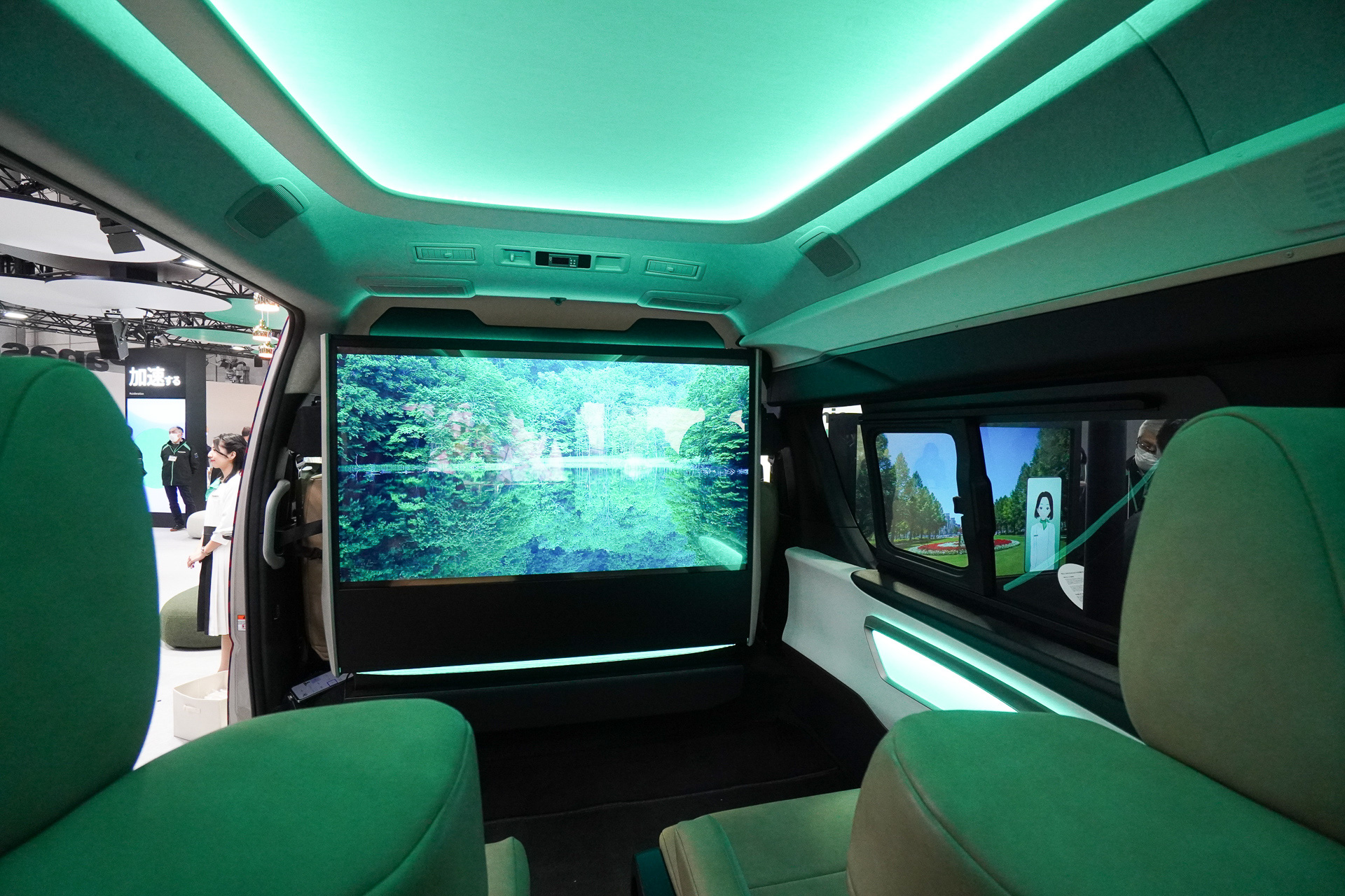 森林の映像の場合