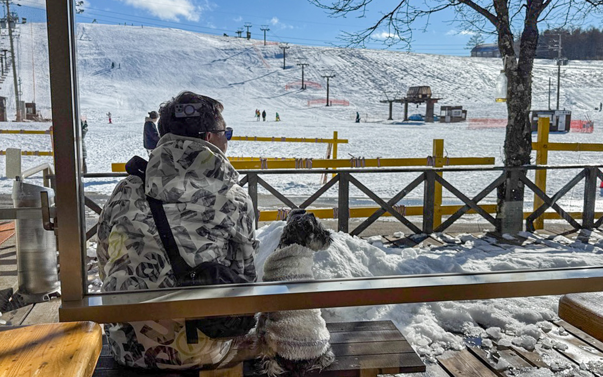 ランチタイムは、ゲレンデ併設のホテルこわしみずのレストランで。テラスで並んで座っていた夫と愛犬の背中が似すぎていて、思わずパチリ（笑）