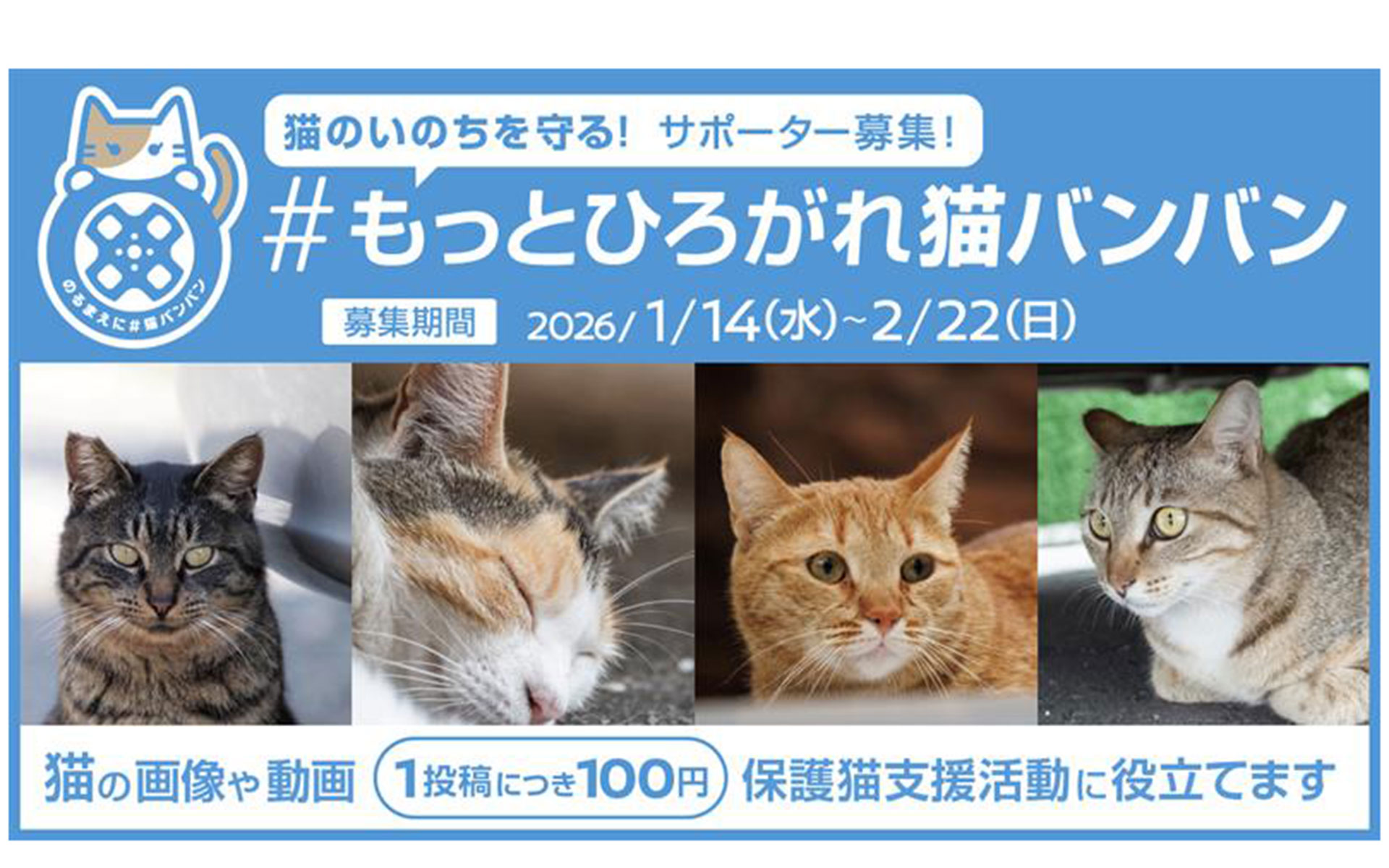 #もっとひろがれ猫バンバン