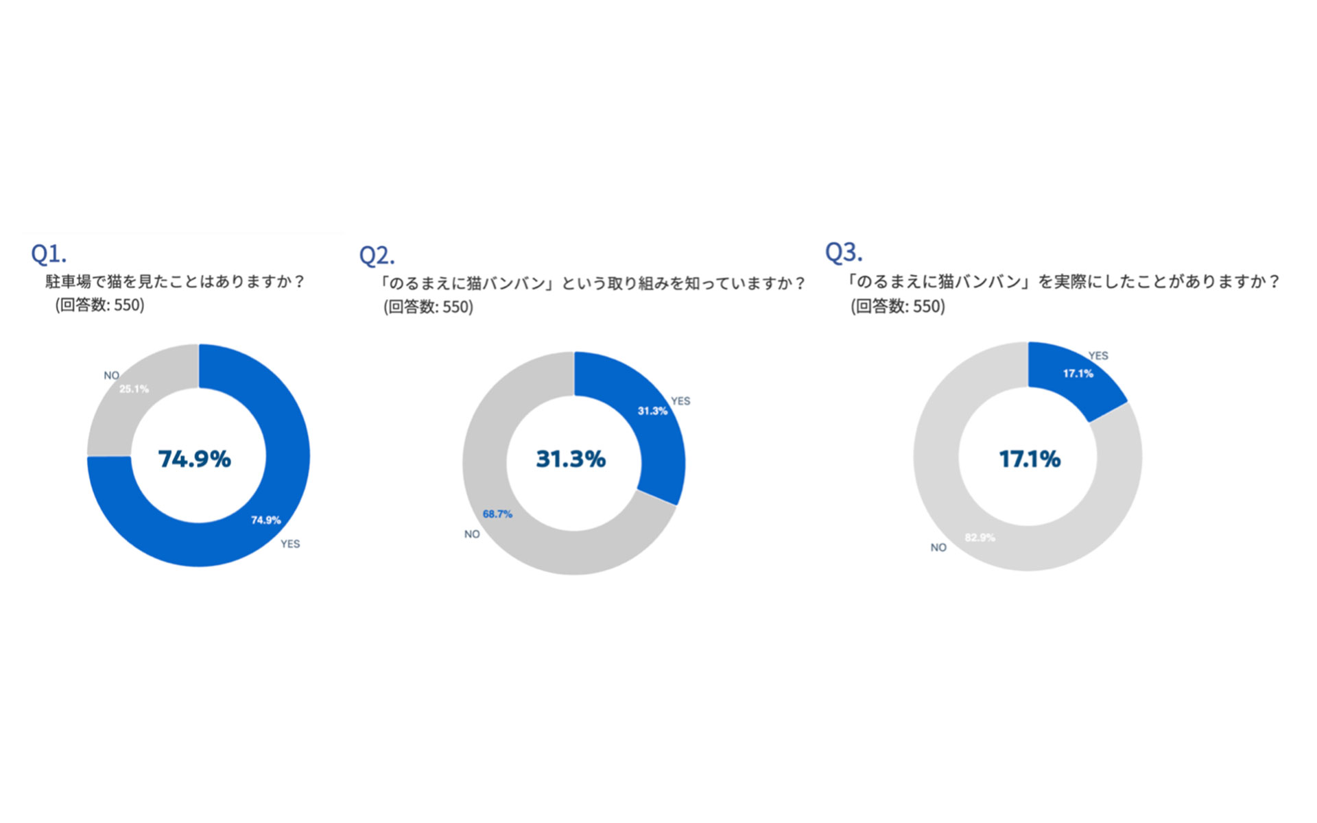 猫バンバン認知調査結果