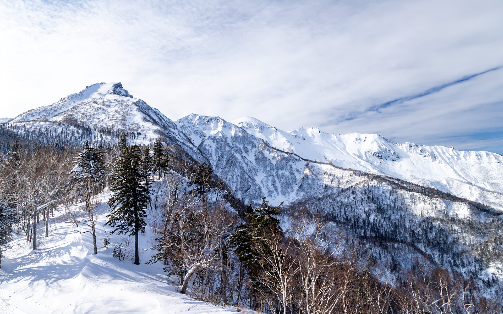 数本滑って黒岳駅に戻ると、その勢いで展望台への階段を上った。明日と言わずもうすでにふくらはぎがパンパンになっていたけれど、気持ちはハイだから体がよく動く。左からいま滑ってきた黒岳、桂月岳、凌雲岳、上川岳で大雪山系だ