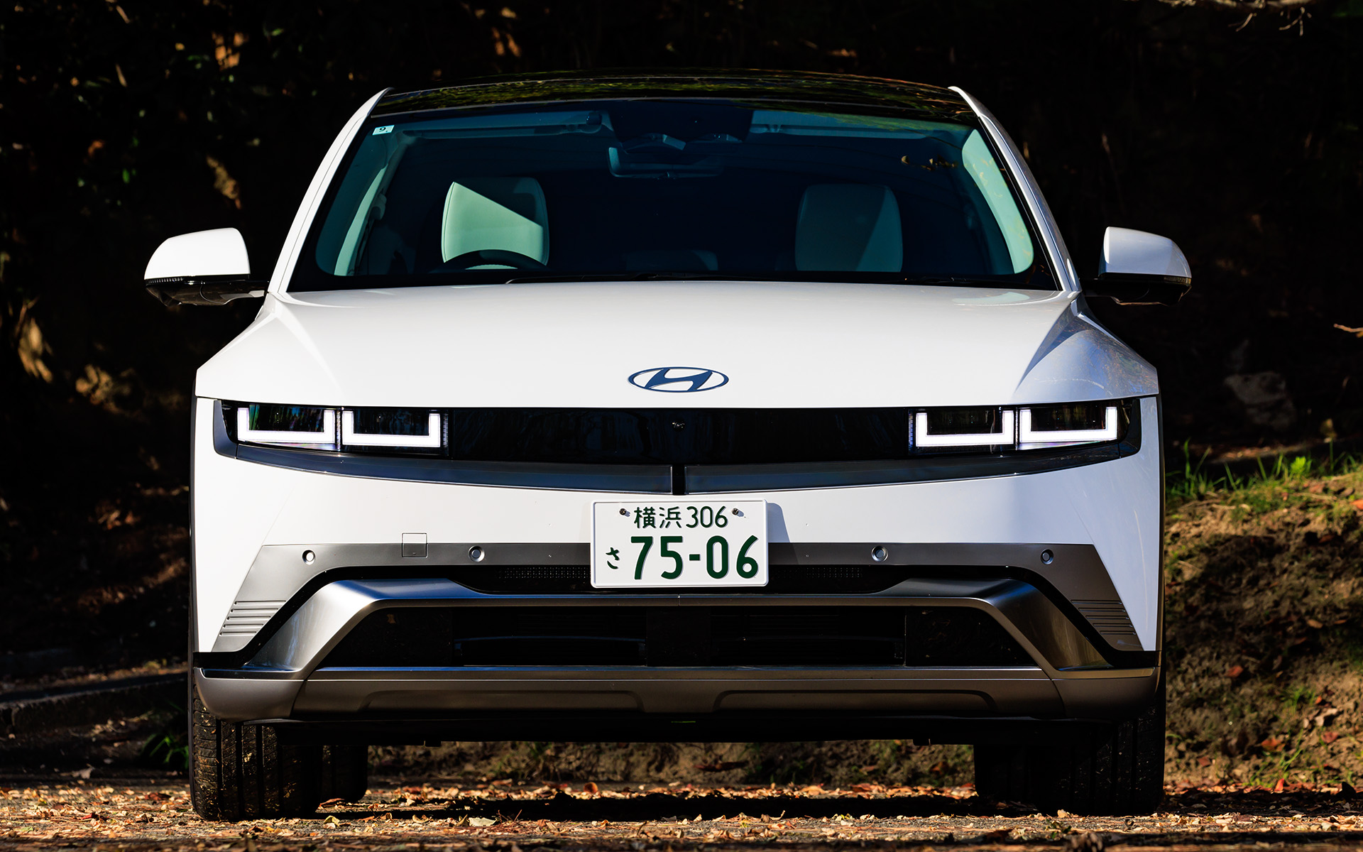 外観は「パラメトリックピクセル」というデザイン言語により、ピクセルを使った独創的なビジュアルを採用