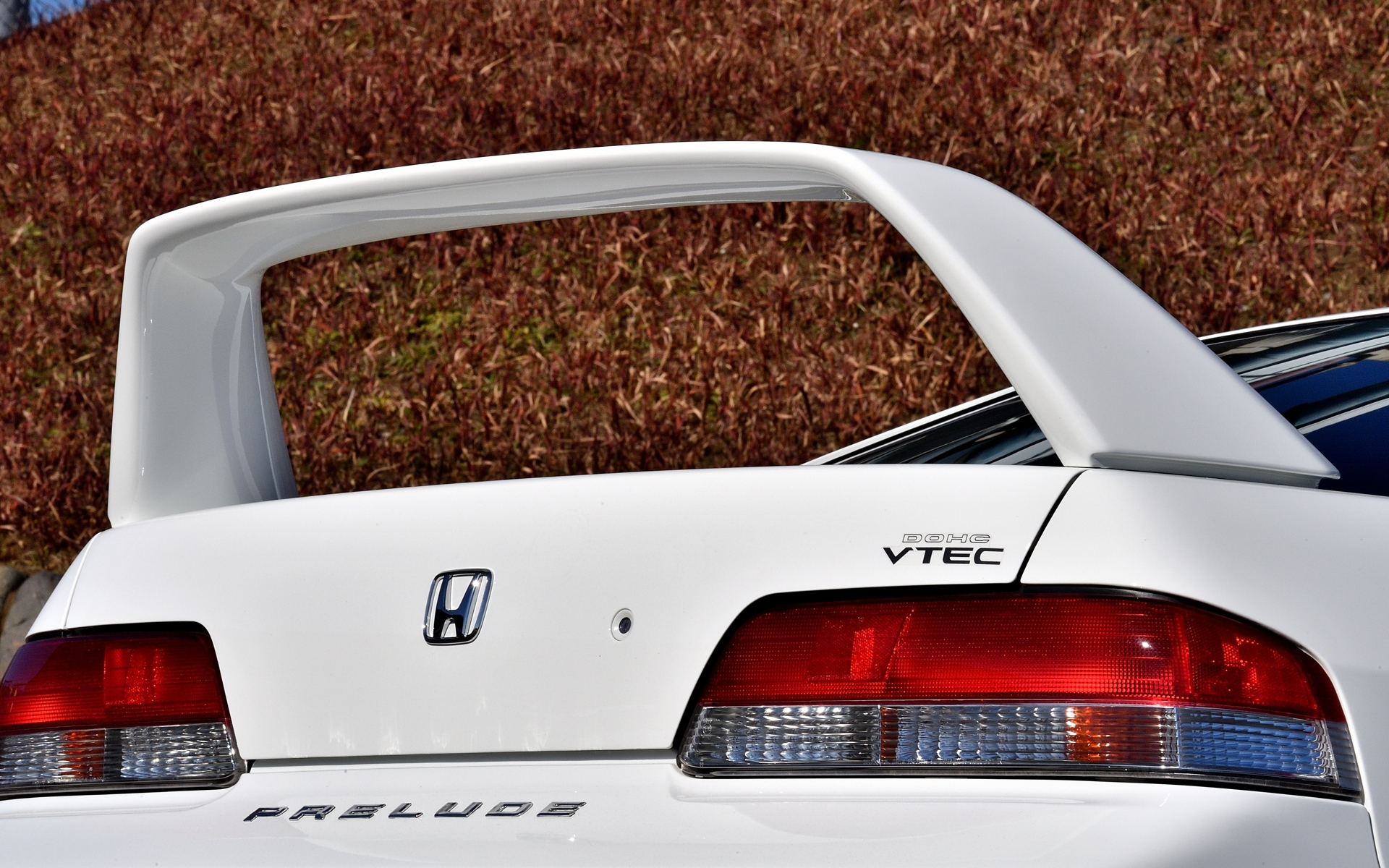 同様にトランクスポイラーは“ハイウイングタイプ”を設定していた