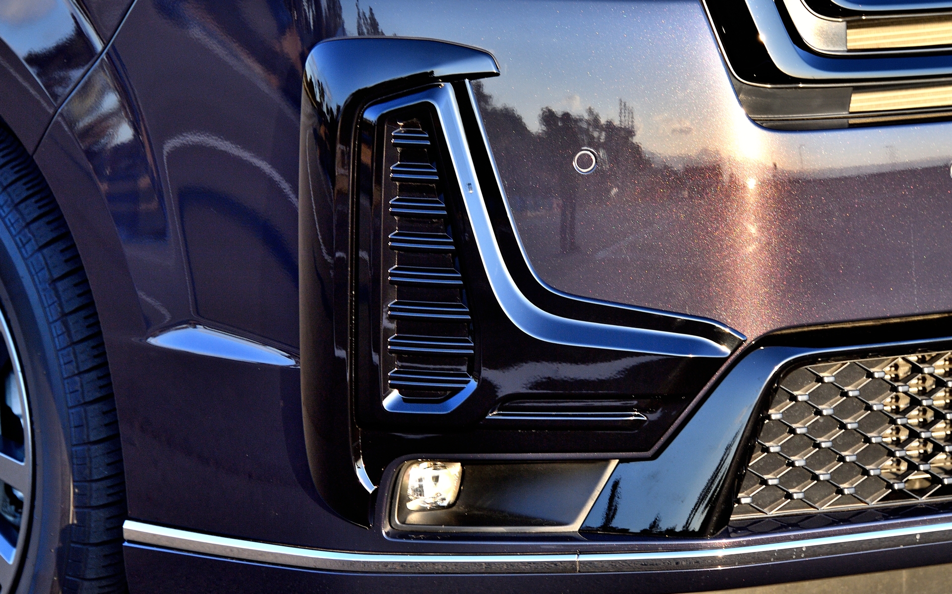 写真は「ベルリナブラック」