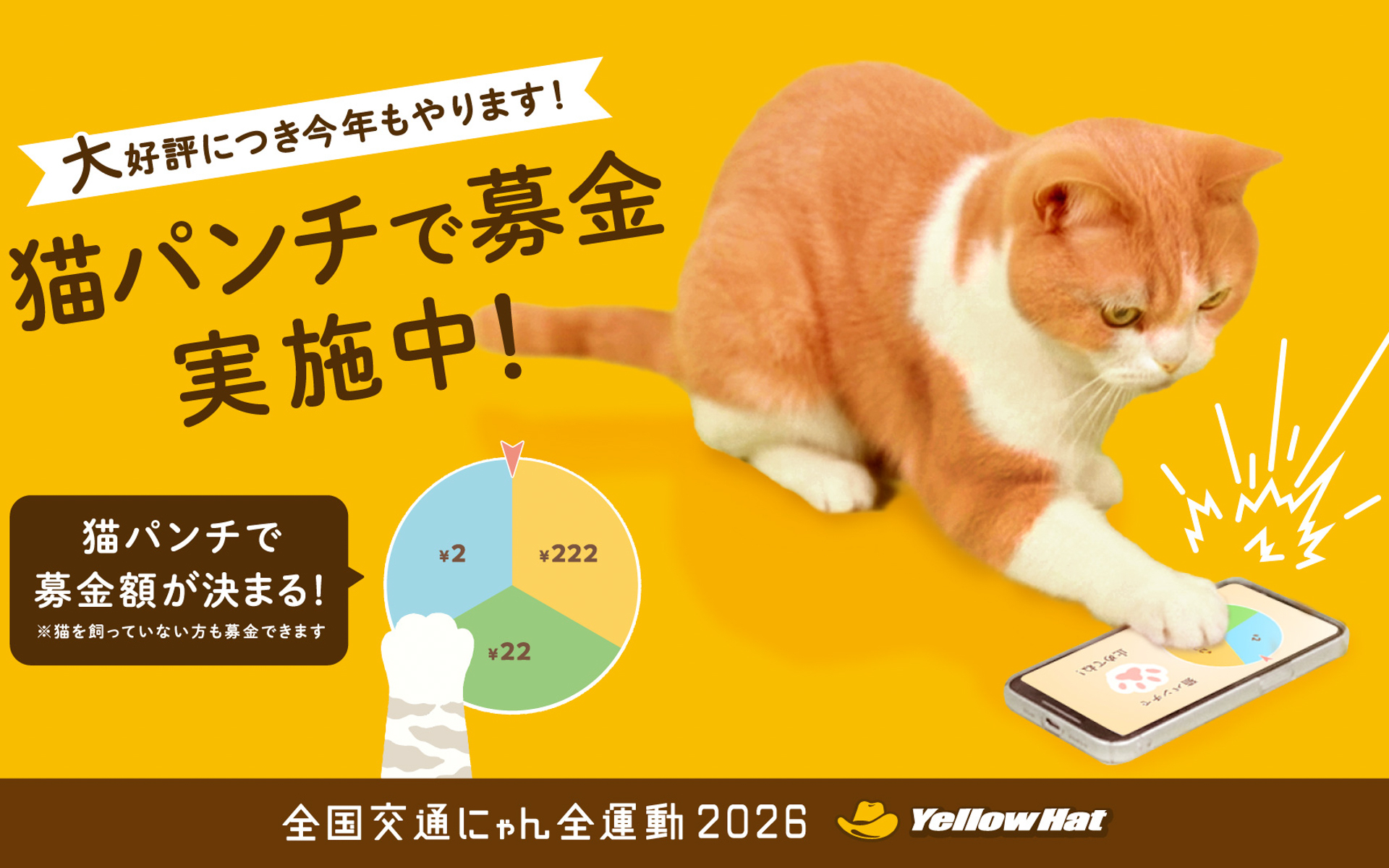 猫パンチ募金を実施中