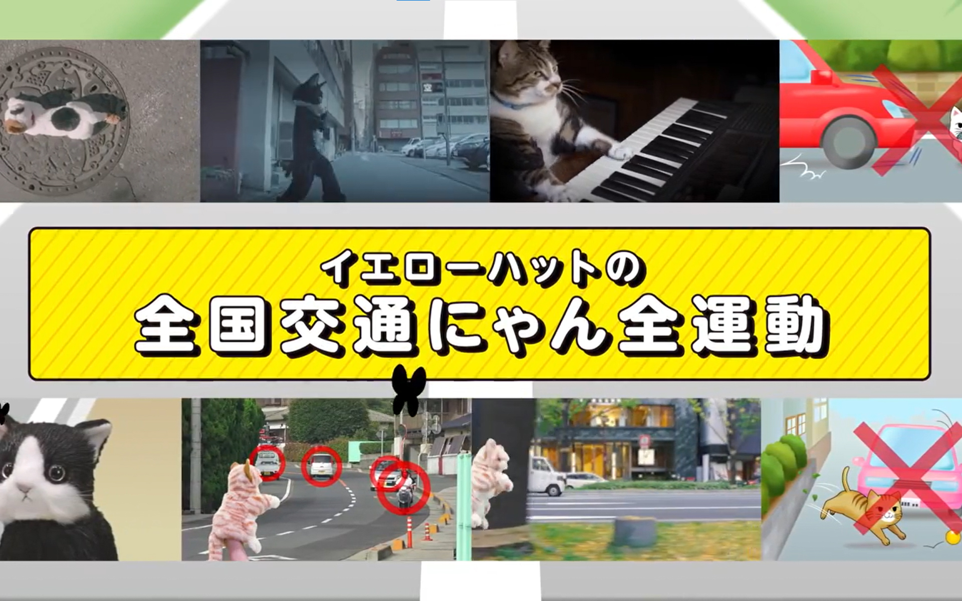 2019年の「<a href="https://www.yellowhat.jp/campaign/201902/catday_cp.html" class="n" target="_blank">猫専用の交通安全動画</a>」