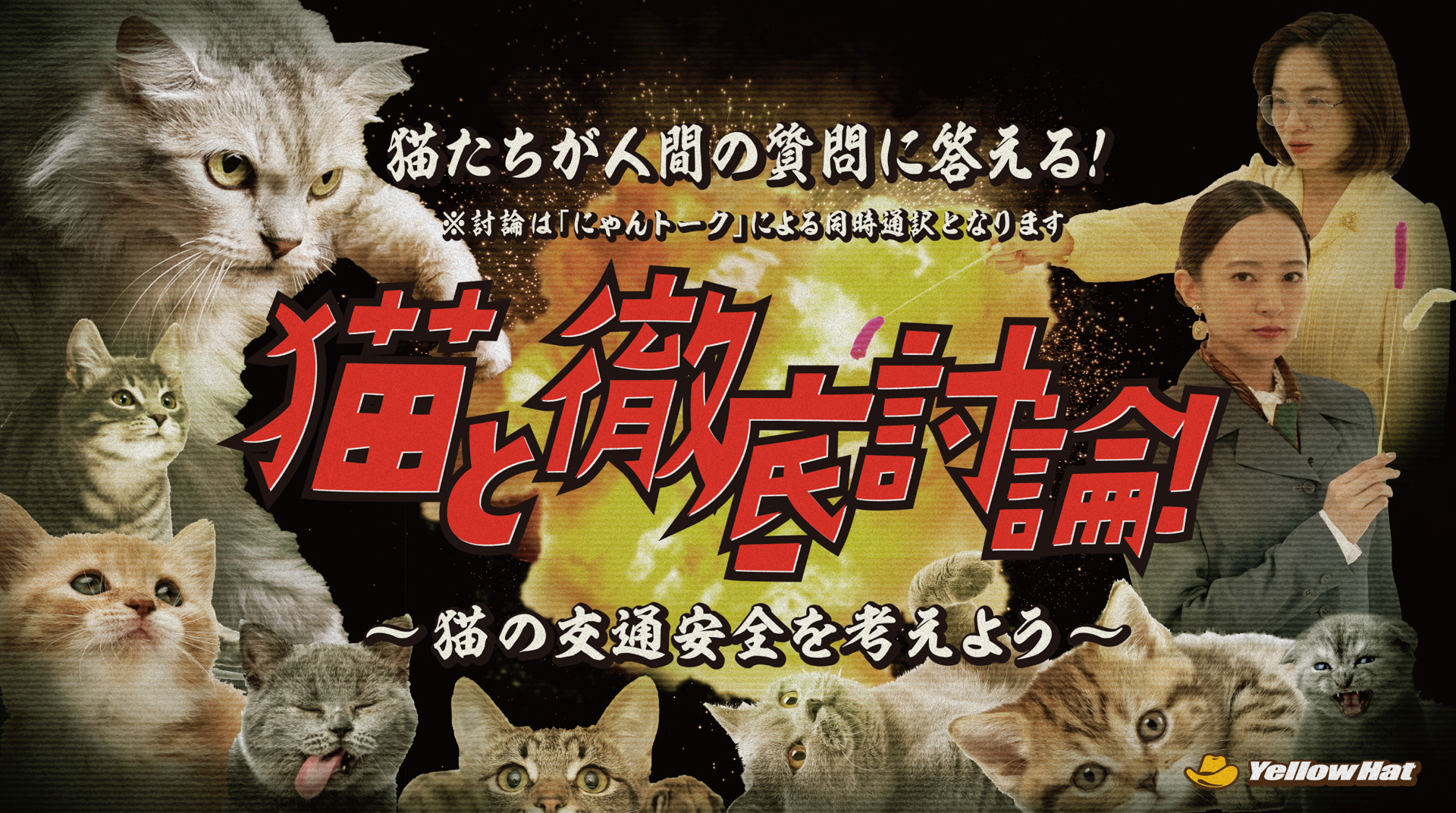 2023年の「<a href="https://www.yellowhat.jp/campaign/202302/catday_cp.html" class="n" target="_blank">猫と徹底討論！</a>」