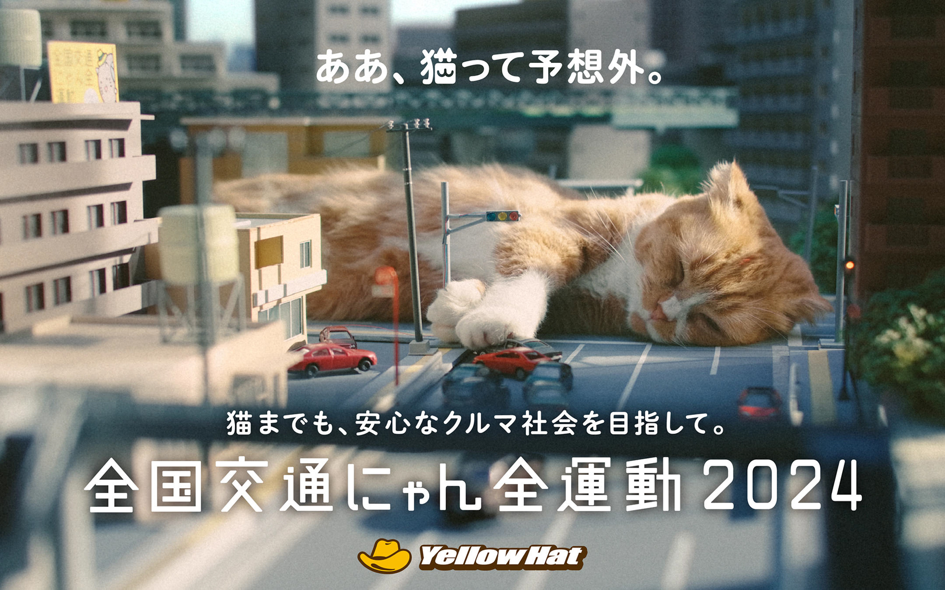 2024年の「<a href="https://www.yellowhat.jp/campaign/202402/catday_cp.html" class="n" target="_blank">ああ、猫って予想外。</a>」