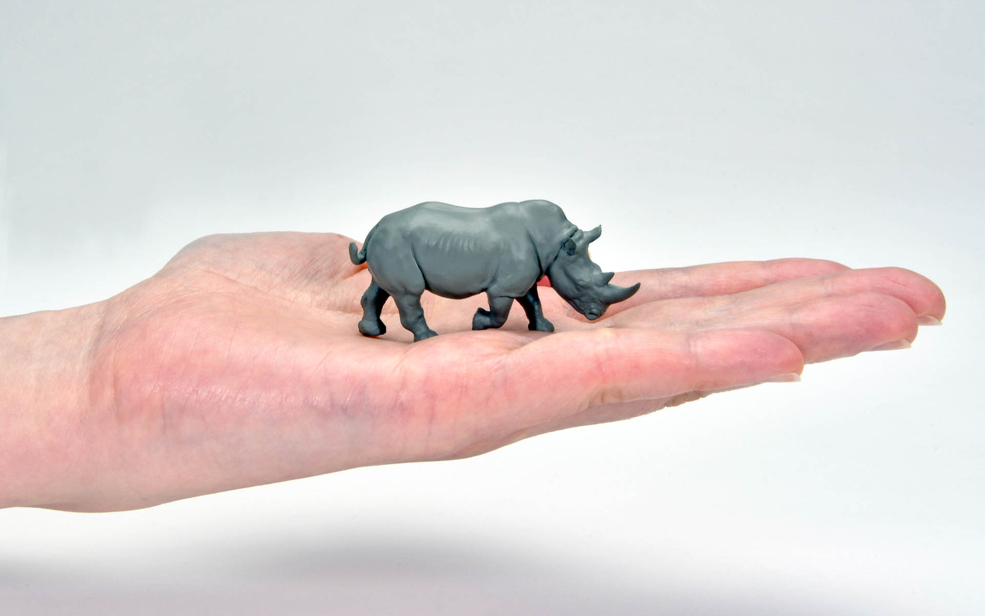 動物フィギュアは海洋堂 松村しのぶ氏が監修