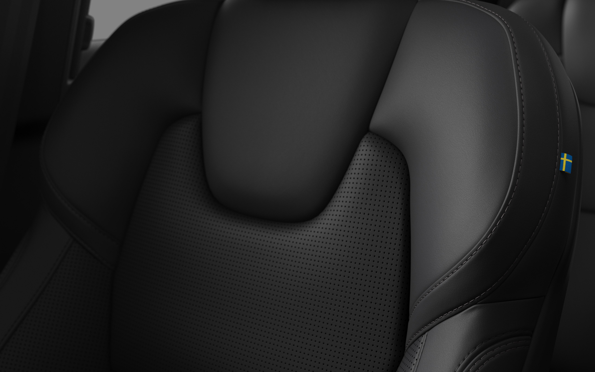 チャコールカラー・ファインナッパレザーシート