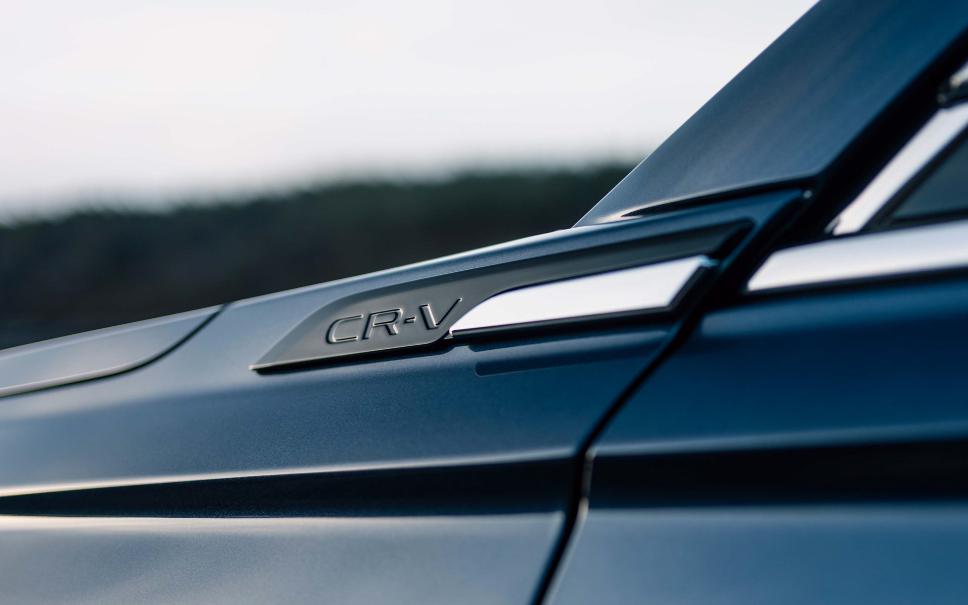 フェンダーガーニッシュ