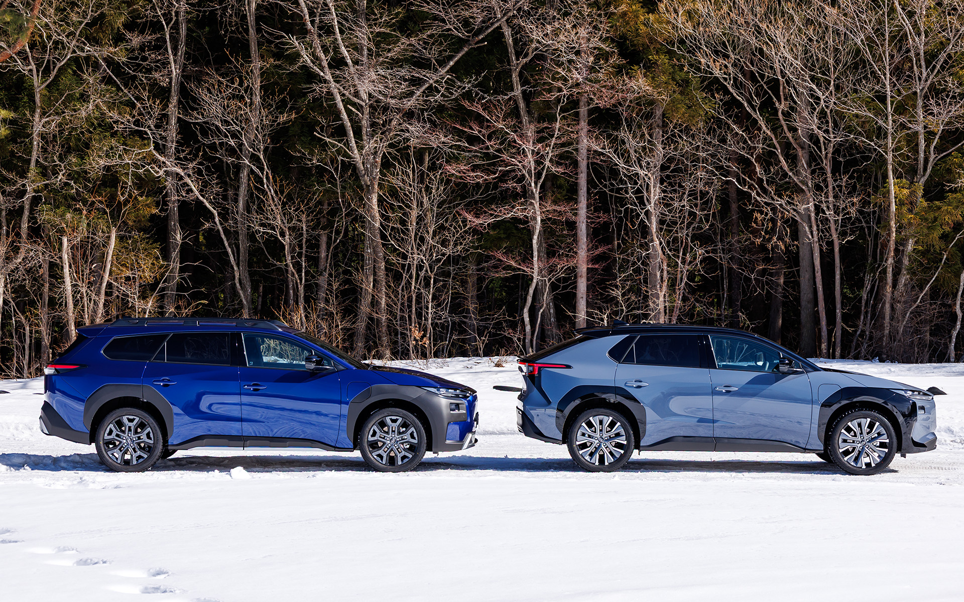 左がトレイルシーカー、右がソルテラ。並べて横から見ると車両後部の違いがよくわかる