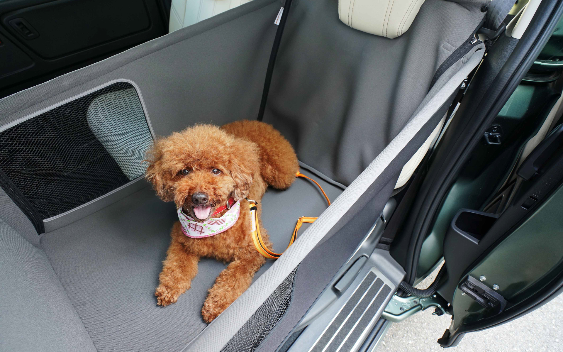 「ペットシートプラスわん2」などを軽乗用BEV「N-ONE e:」に装着した状態で展示する