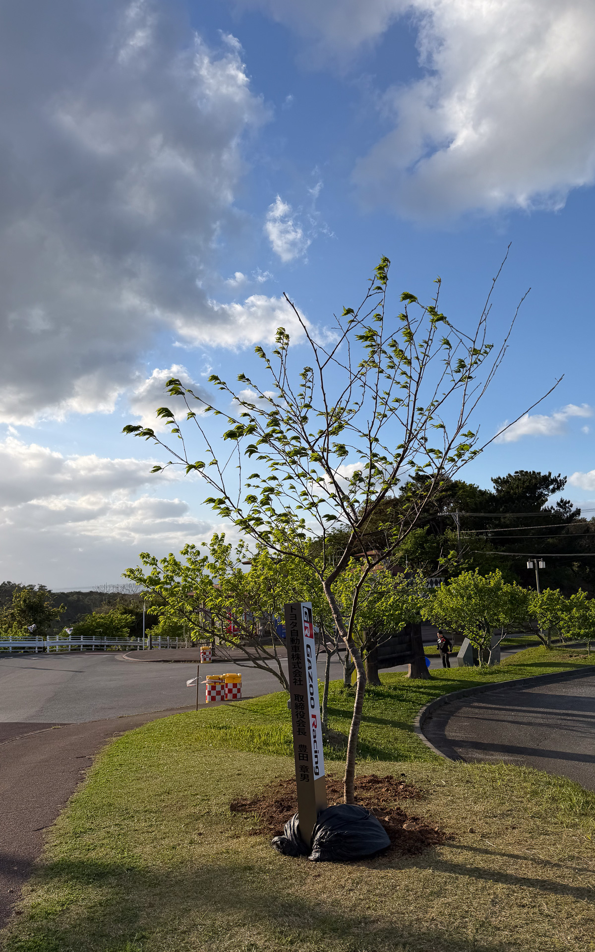植樹式前は雨もぱらついていたが、式の最中は晴れときどき曇りに。最後は晴れて、明日、明後日のラリーはよい天気が予想されている