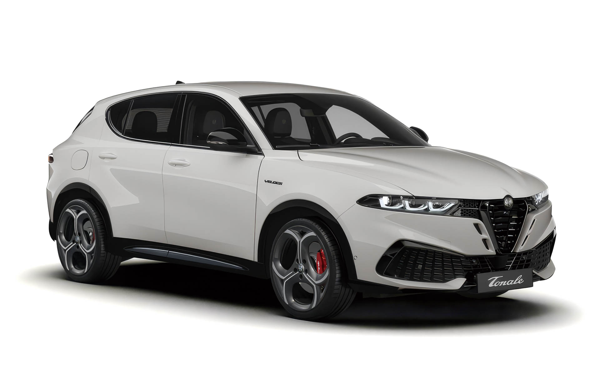 「アルファ ホワイト」