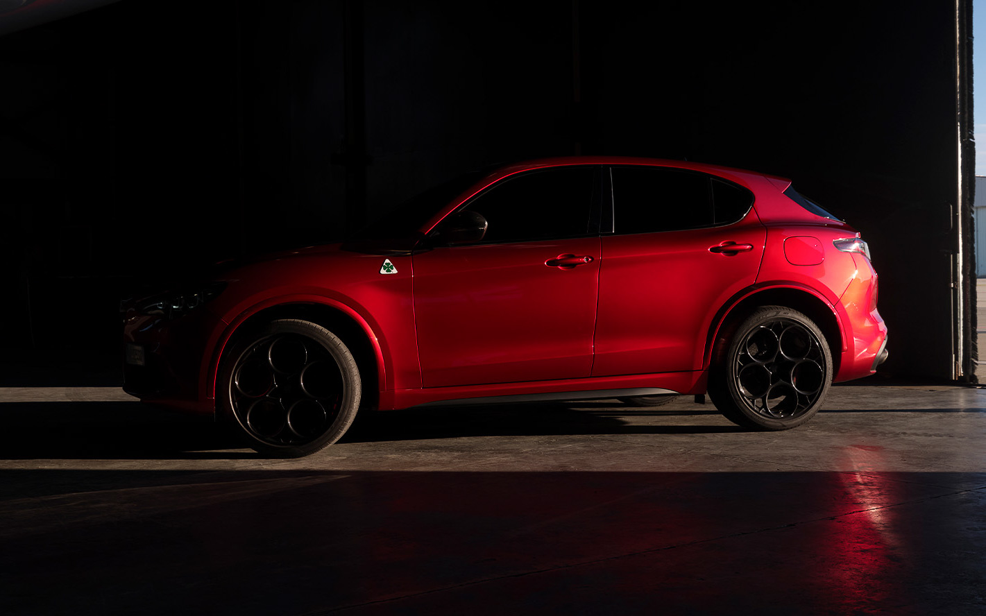 ステルヴィオ クアドリフォリオ コレッツィオーネ