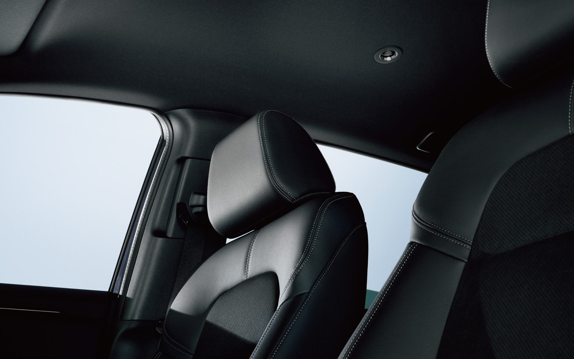 ブラック・ルーフライニング