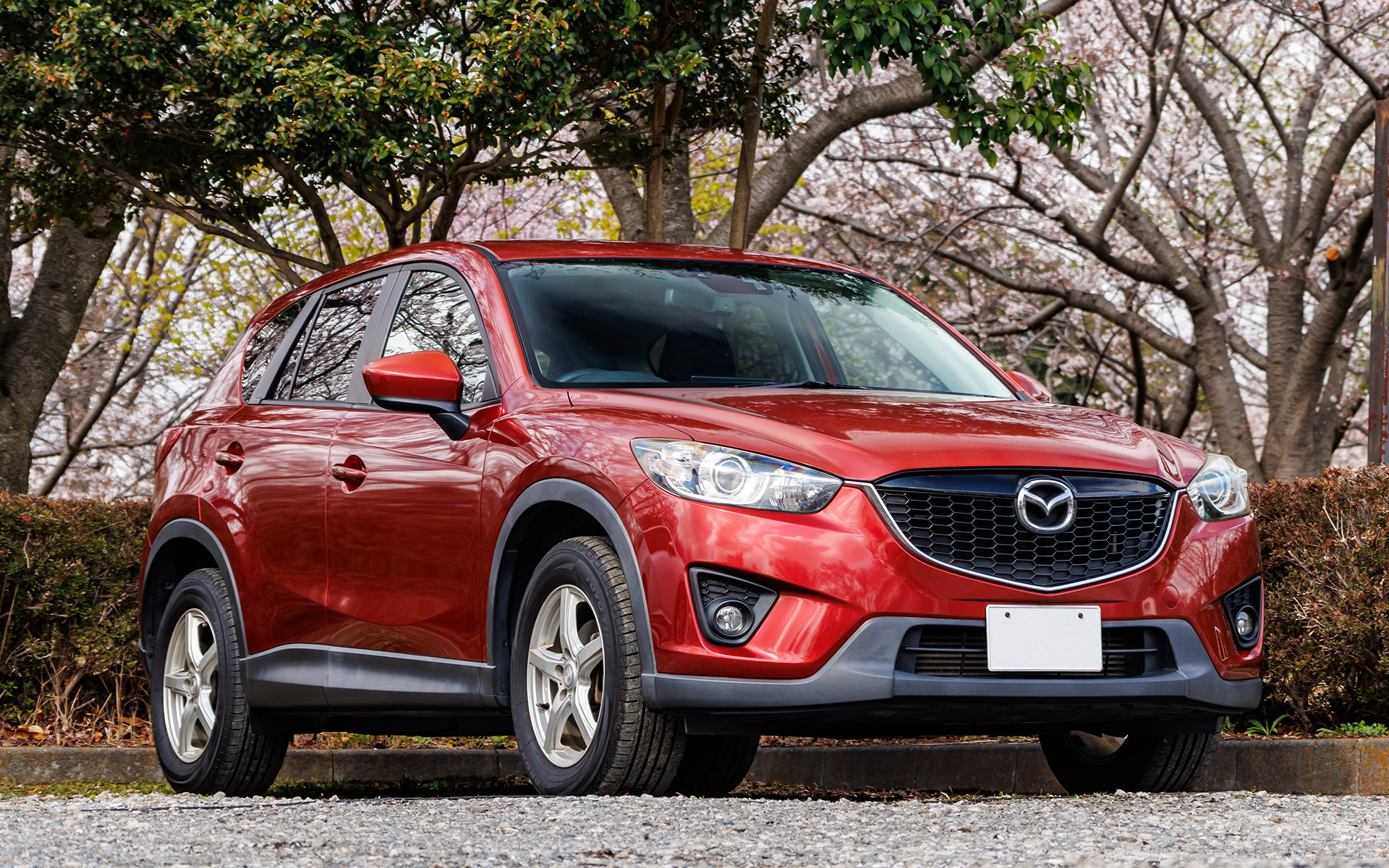 2013年式CX-5。未塗装樹脂はもちろん塗装面もなかなかの経年劣化具合