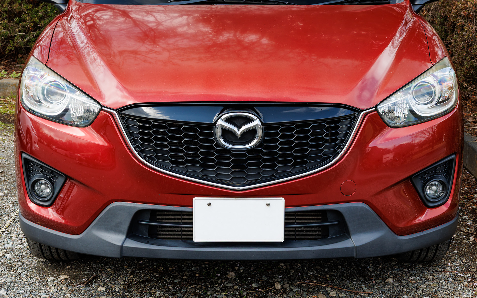 フロントまわり