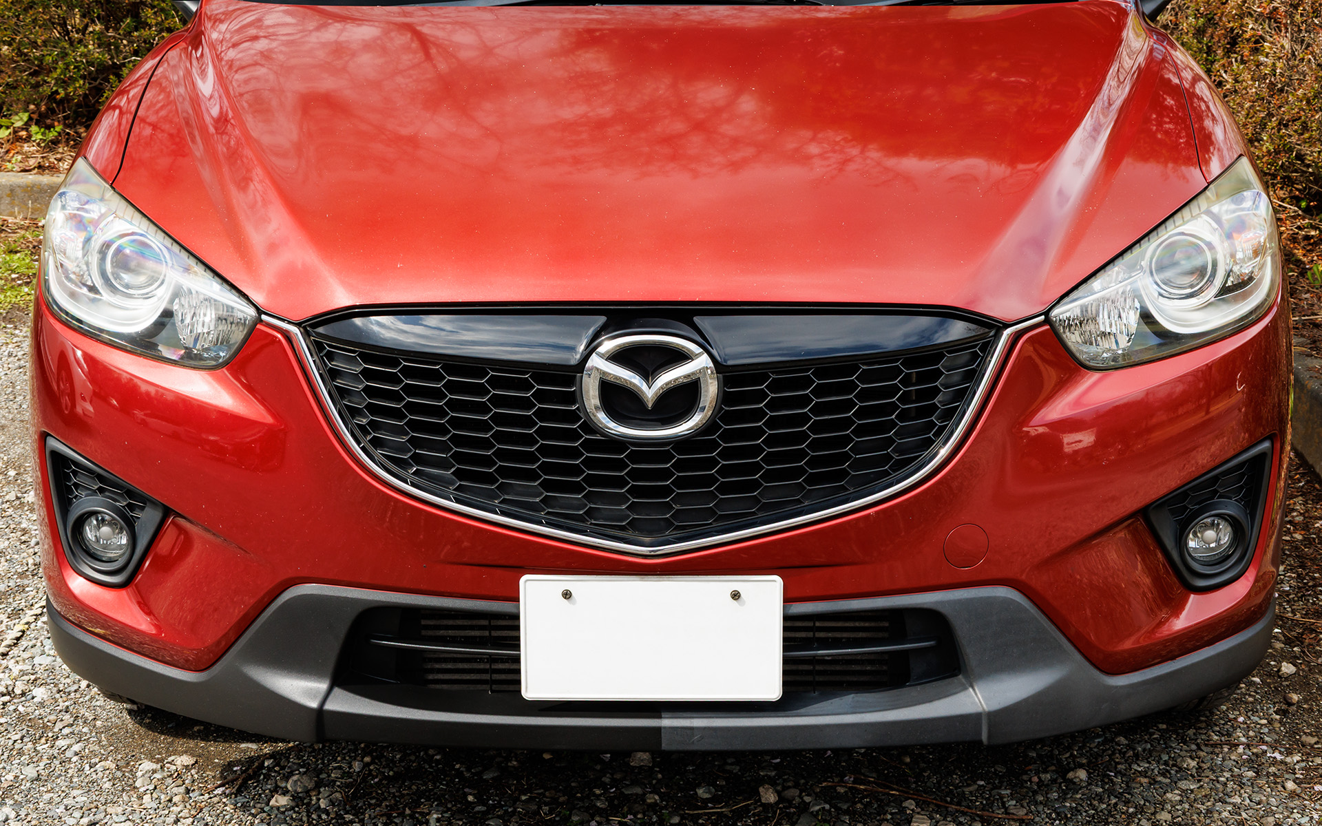 左側半分だけ処理したところ