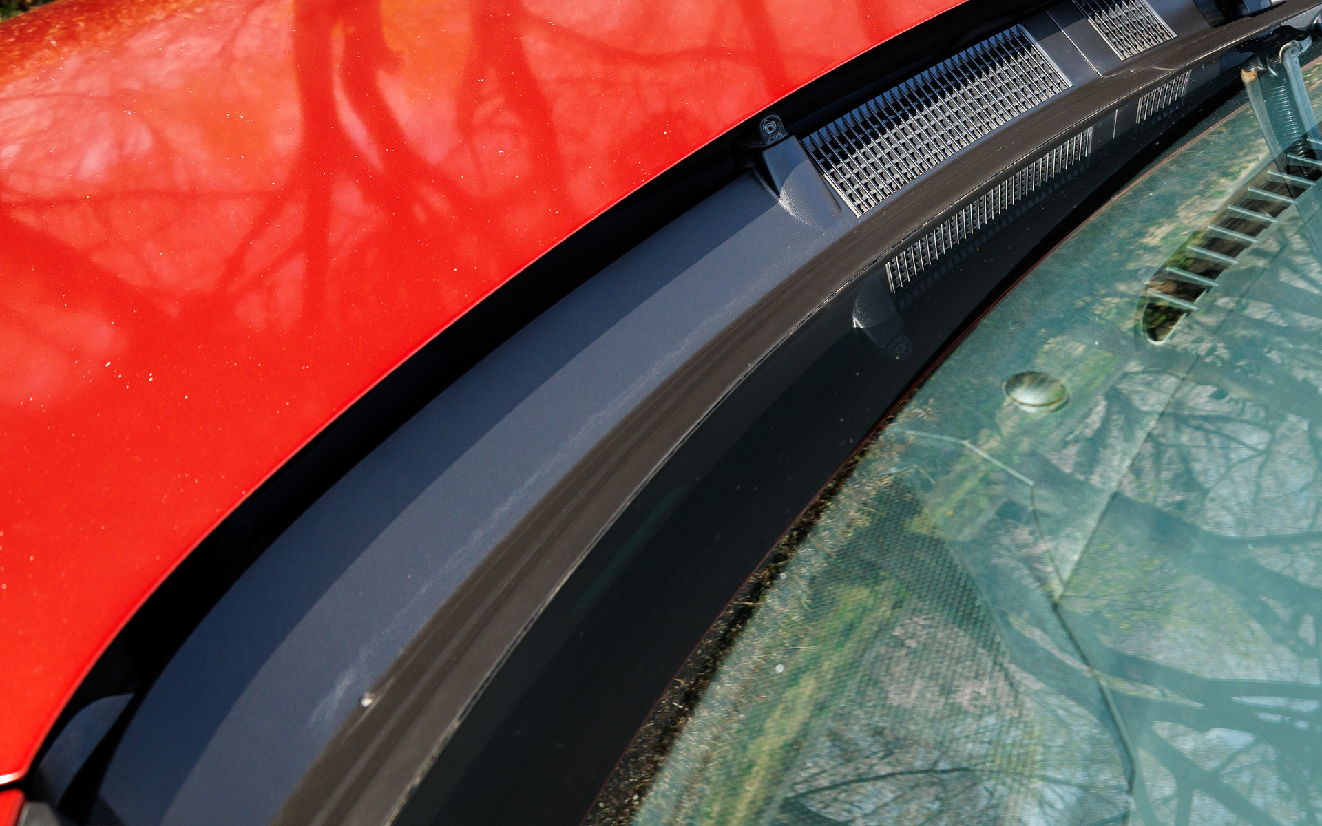 作業後。シミのような汚れは完全に消せなかったもののだいぶキレイになった。もっと早く手を付けるべきだったか……