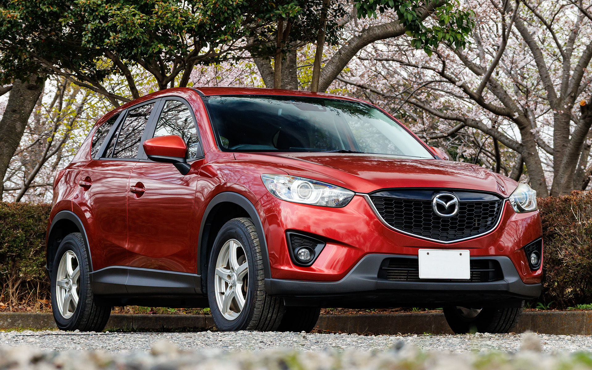 作業後。樹脂部分の黒さが戻ると引き締まった印象になる。撮影しながらざっくり作業して2時間もかかっていないのだから抜群のタイパだ