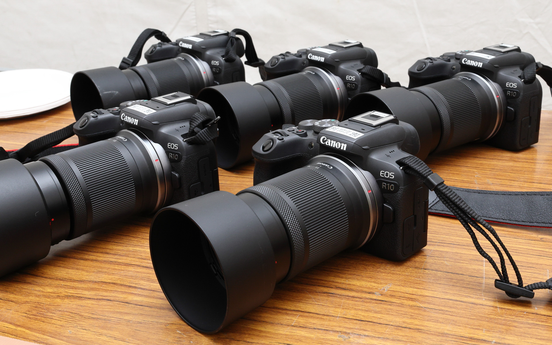 キヤノンEOS R10 ＋ RF-S55-210mm F5-7.1 IS STM