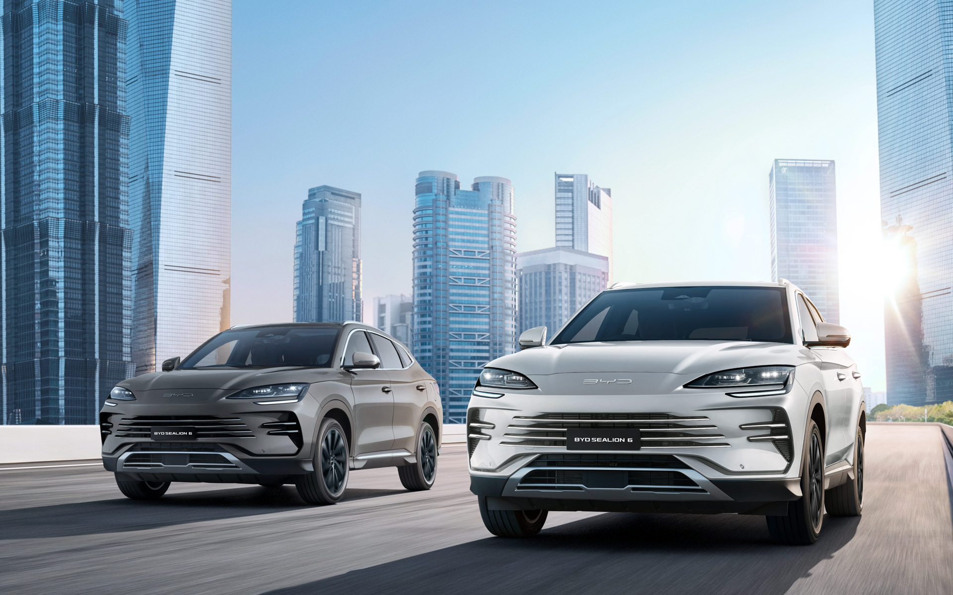 「シーライオン6」