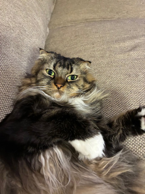 ムクもビックリ