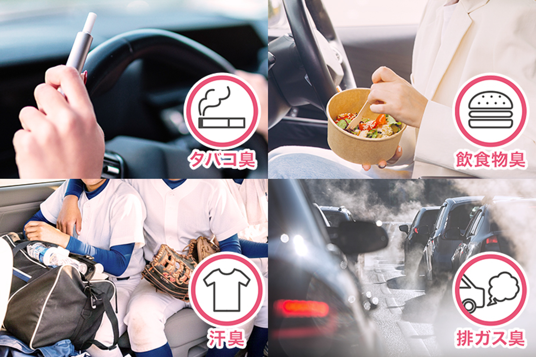 トドマツ精油が車内に漂うイヤなニオイを消臭