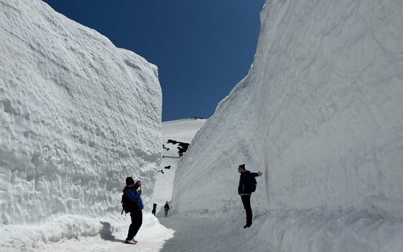 立山黒部アルペンルートが4月15日全線開通 「雪の大谷」の高さは12mに
