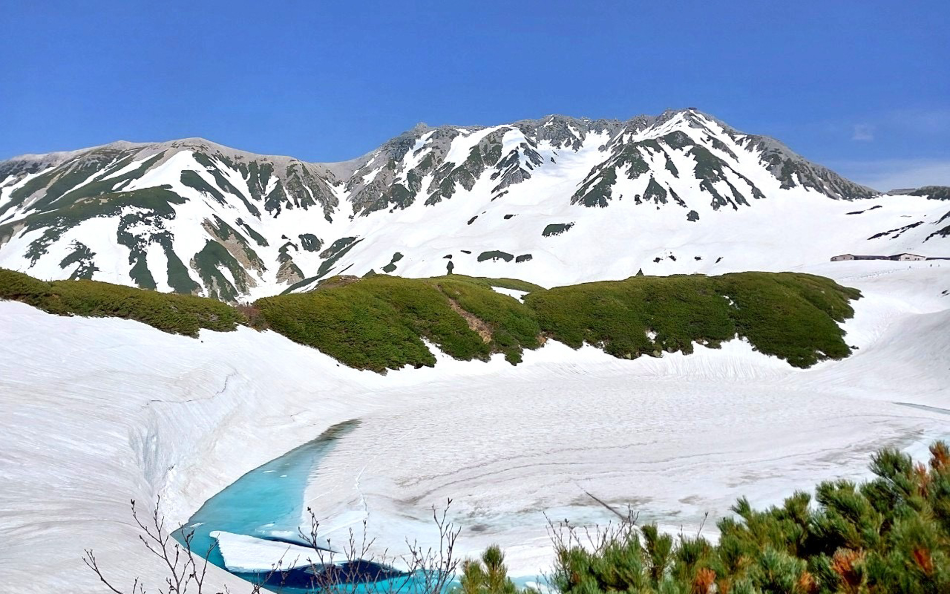 室堂平・みくりが池（5月下旬）