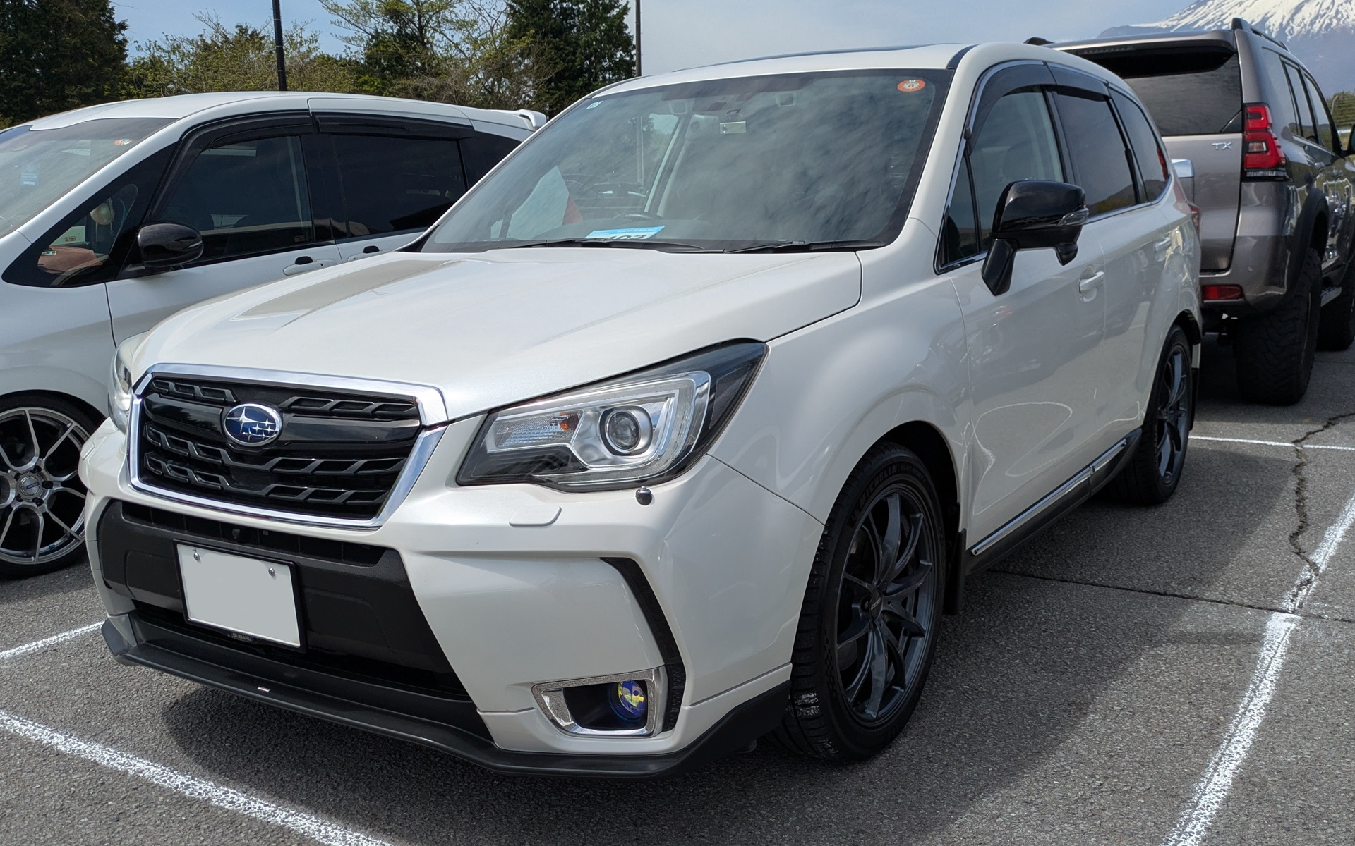 来場者はスポーツカーだけでなく軽自動車、軽トラック、ミニバン、SUV、輸入車などなど、さまざまなジャンルのクルマが並んでいた