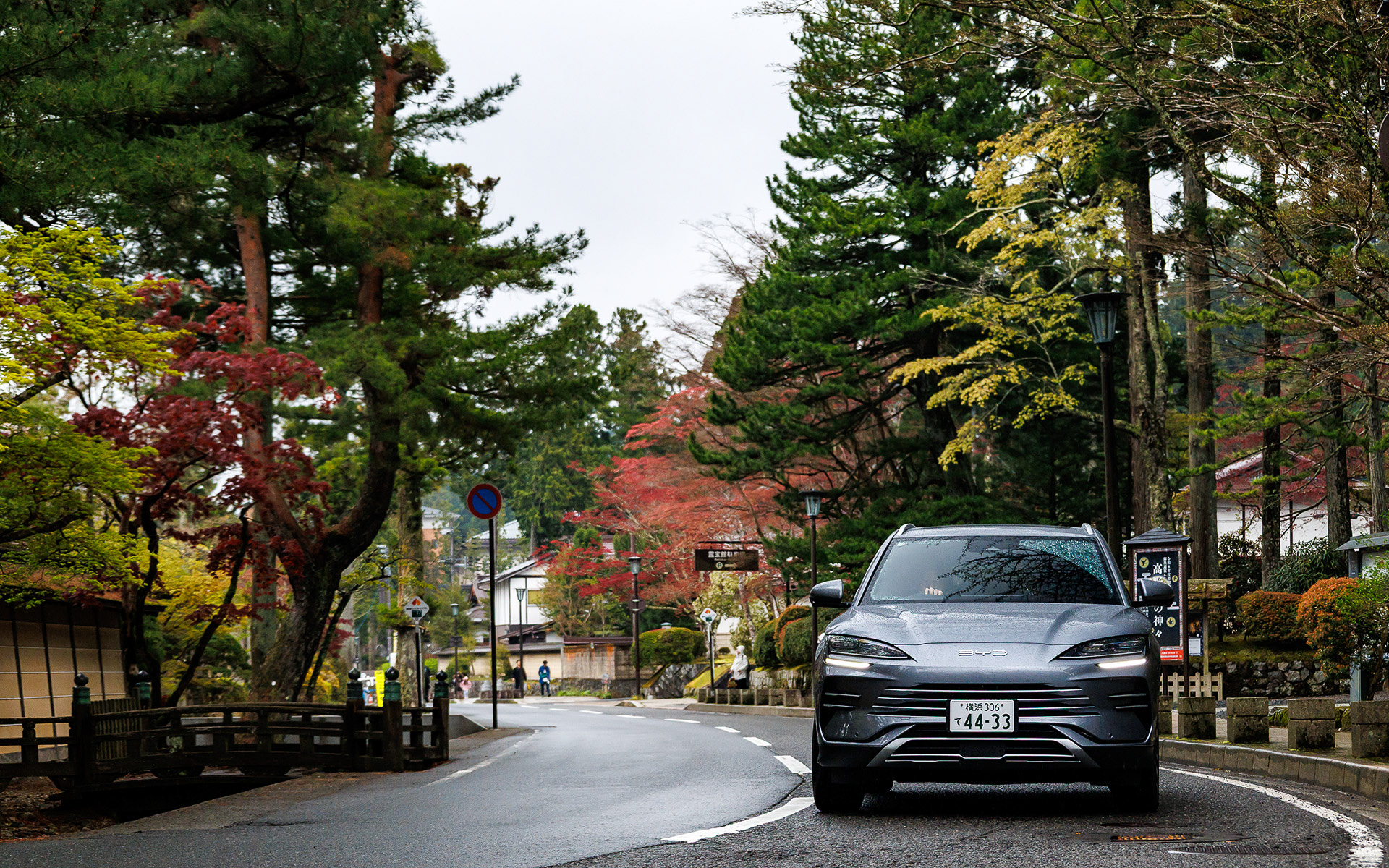 「シーライオン6」で高野山往復の旅をしてみた