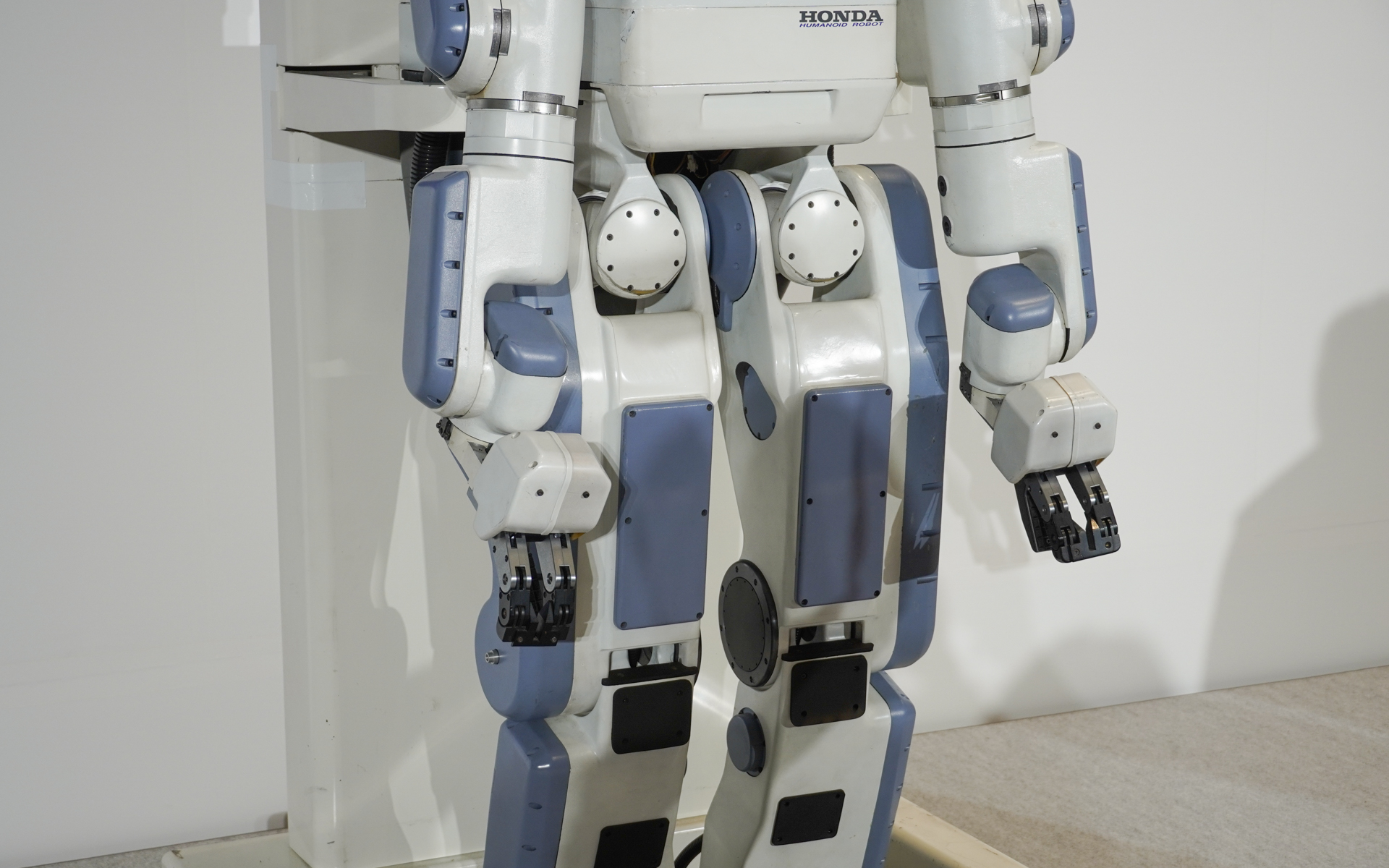 手もつかんだりすることができる