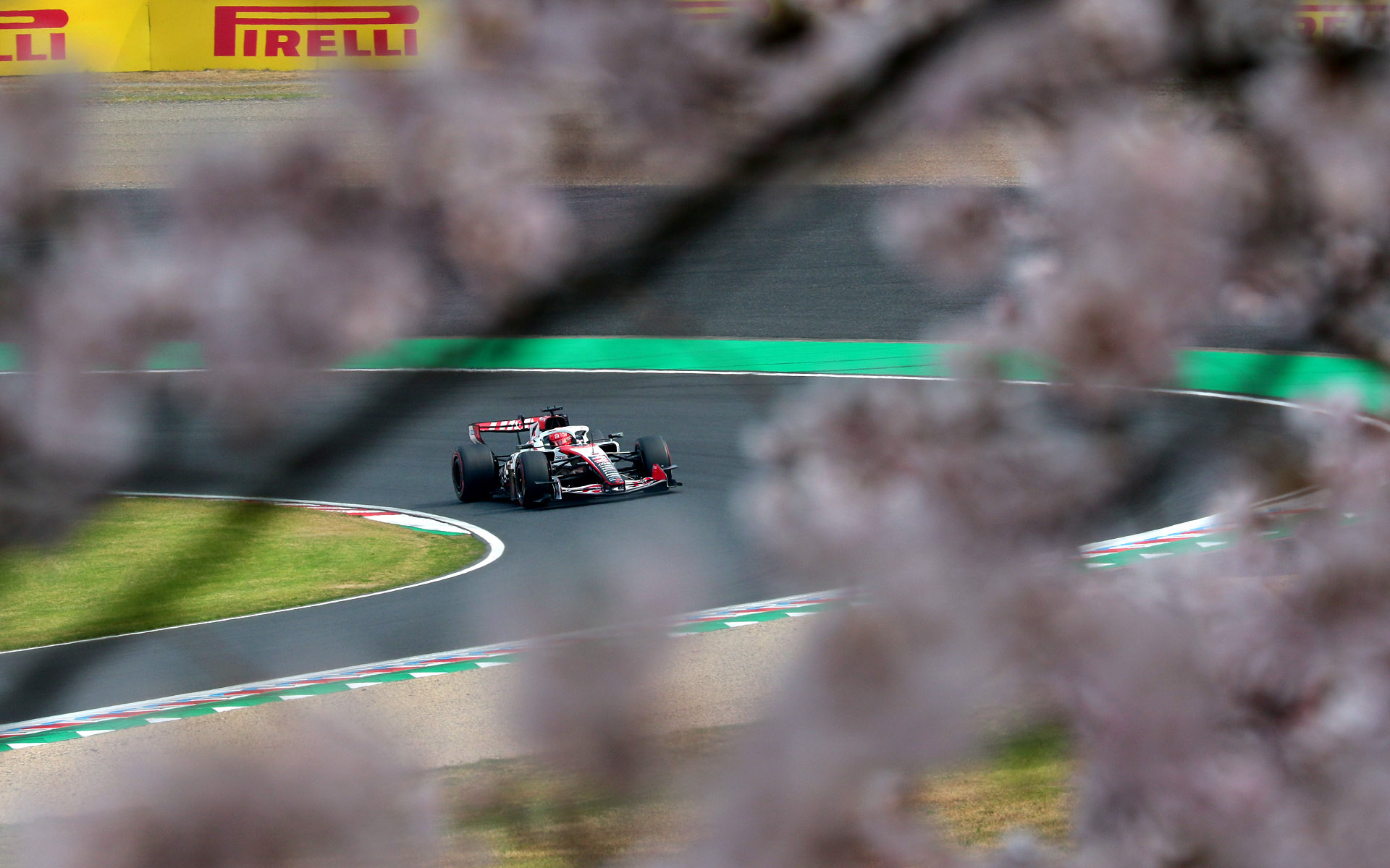 観客席エリアに行かなくても桜を撮ることができた。焦点距離400mm、シャッター速度1/640秒で撮影