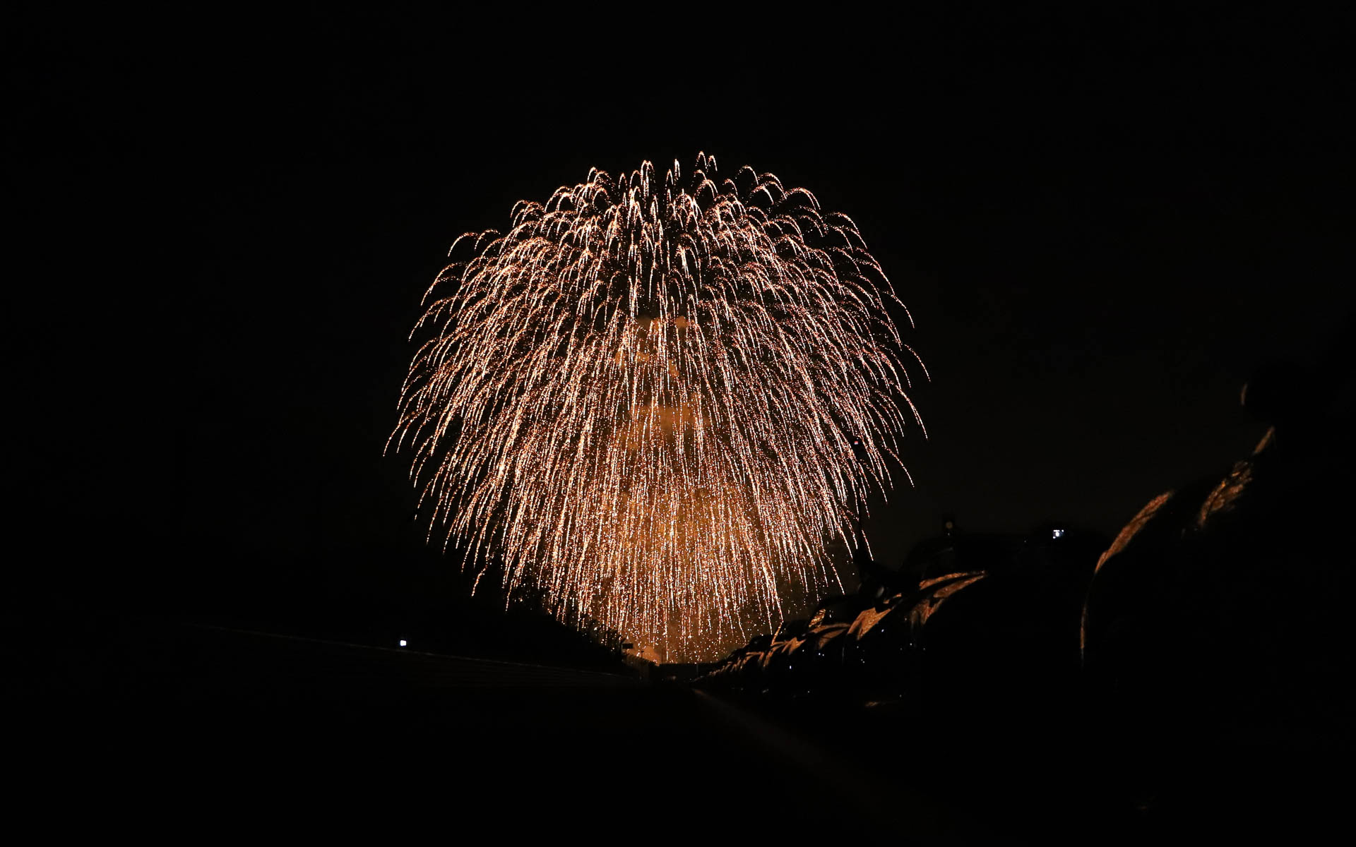 イベントの締めは大輪の花火