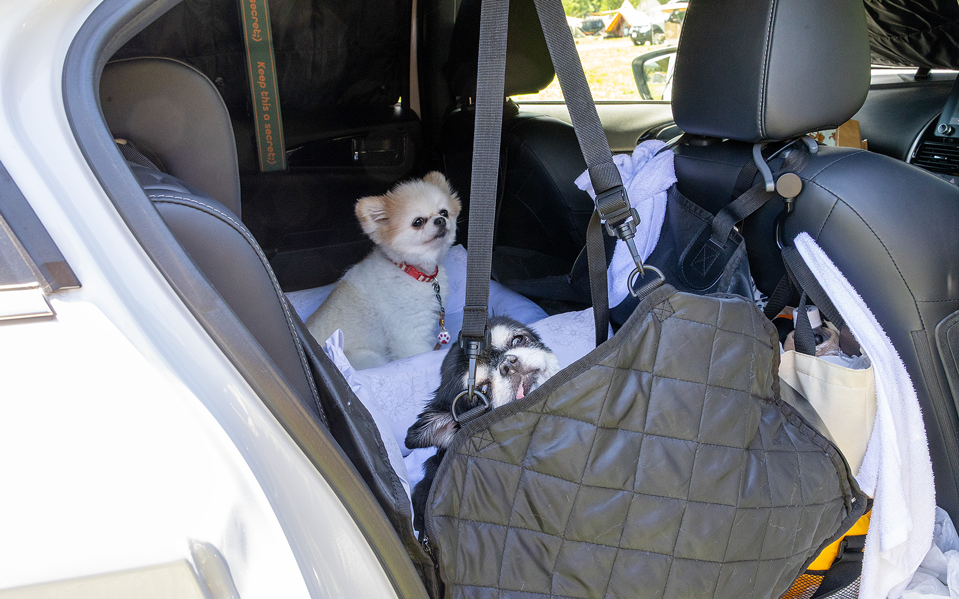 エンジンを止めたままエアコンが使えるので、愛犬は車内で待機。また、奥さまも就寝時は空調が効いて安心感のある車内で過ごすとのこと