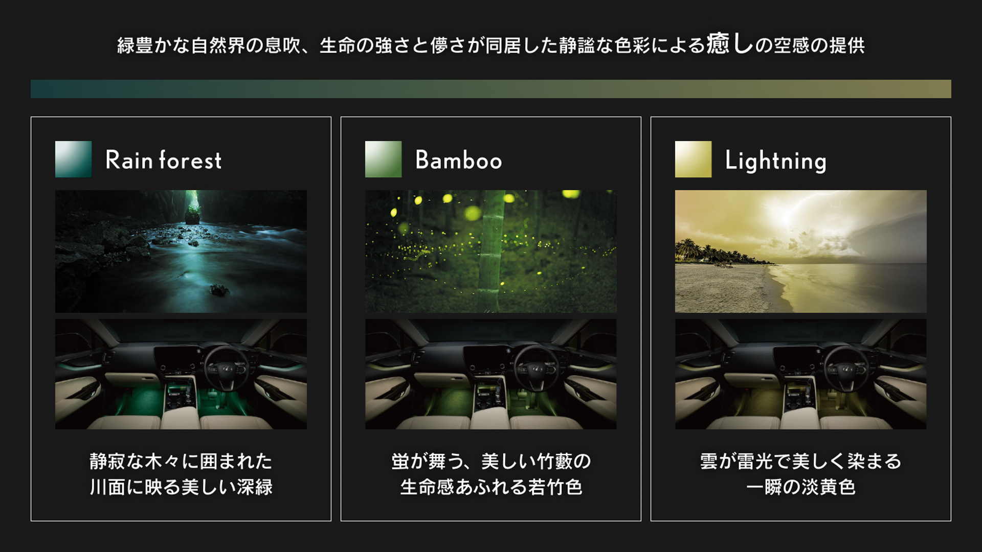 テーマ：癒し（Rain forest、Bamboo、Lightning）