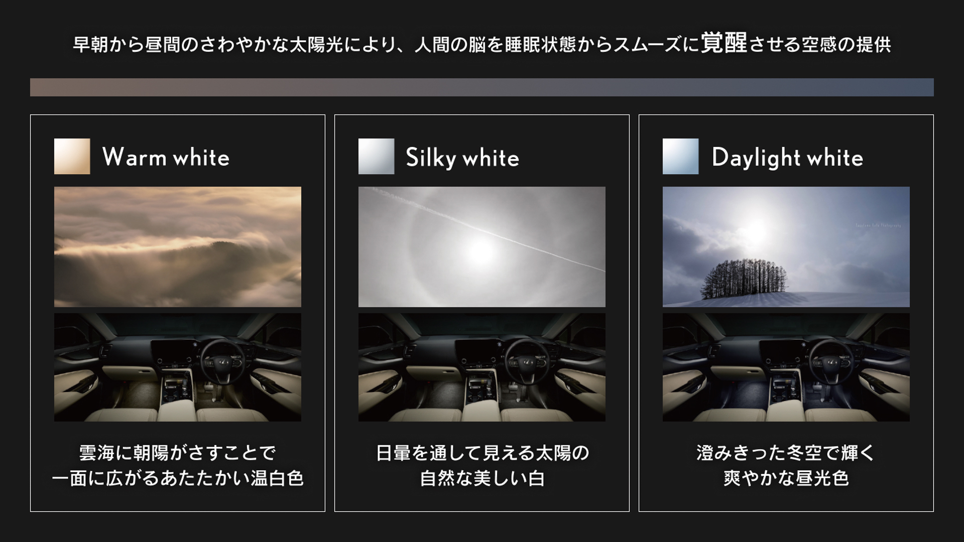 テーマ：覚醒（Warm white、Silky white、Daylight white）
