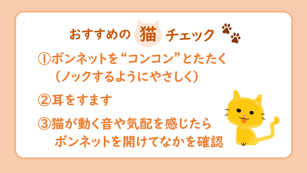 出発前の「猫チェック」が大事です