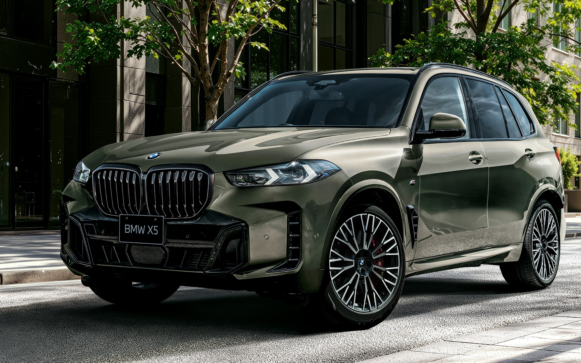 BMW X5 xDrive40d Final Edition