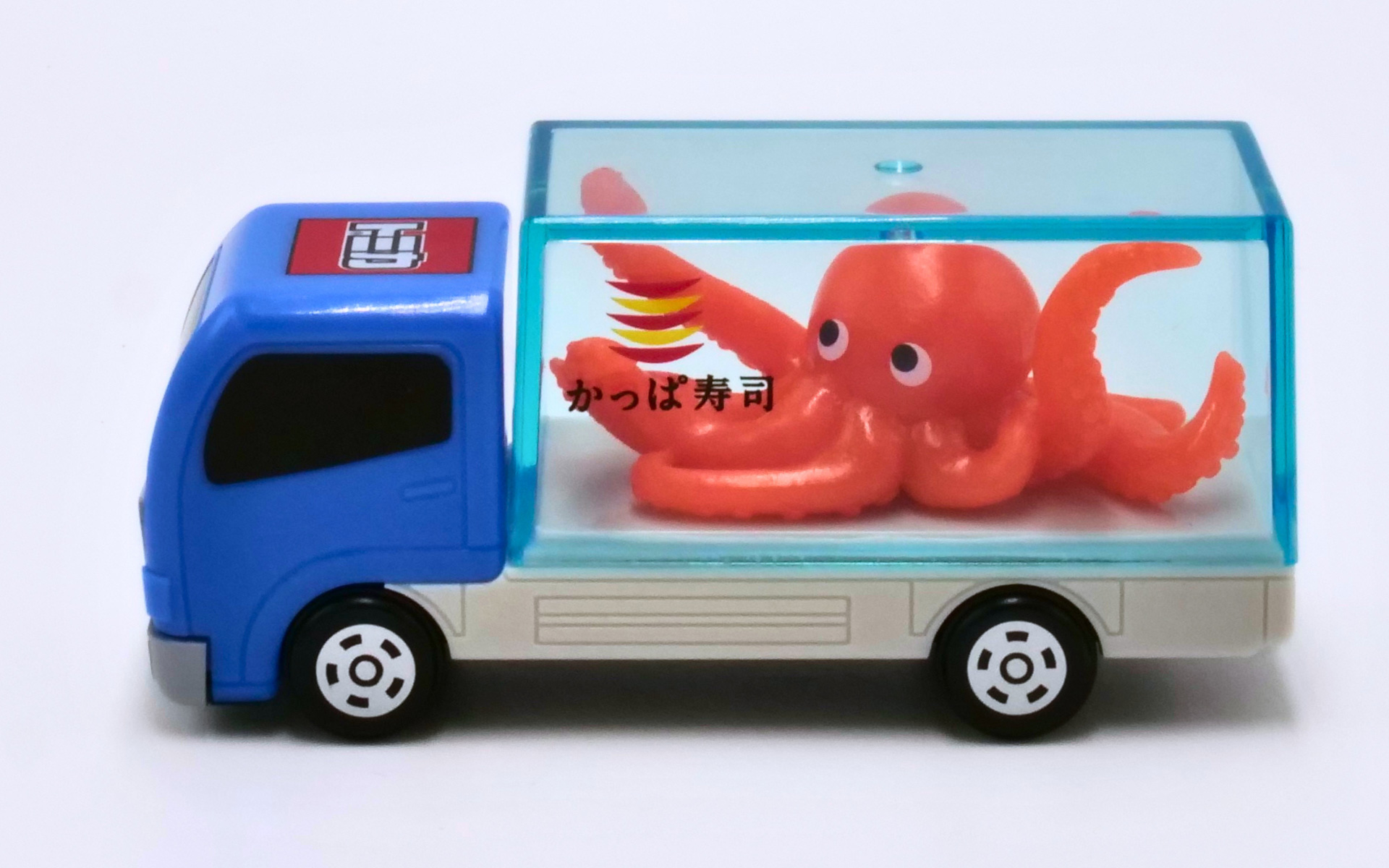 生きたまま元気な「たこ」をはこぶ「トラック（暗いところでやさしく光るたこ）」