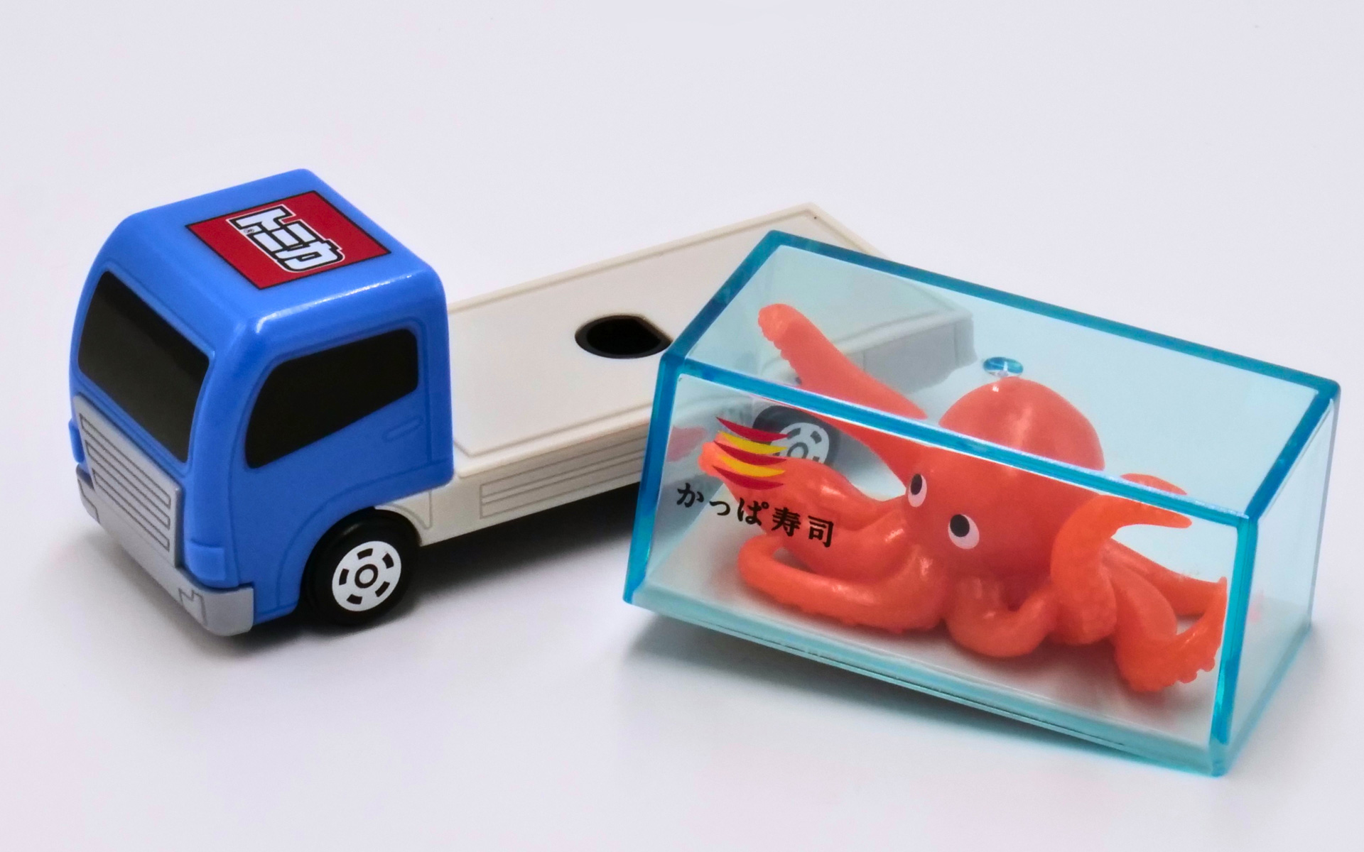生きたまま元気な「たこ」をはこぶ「トラック（暗いところでやさしく光るたこ）」