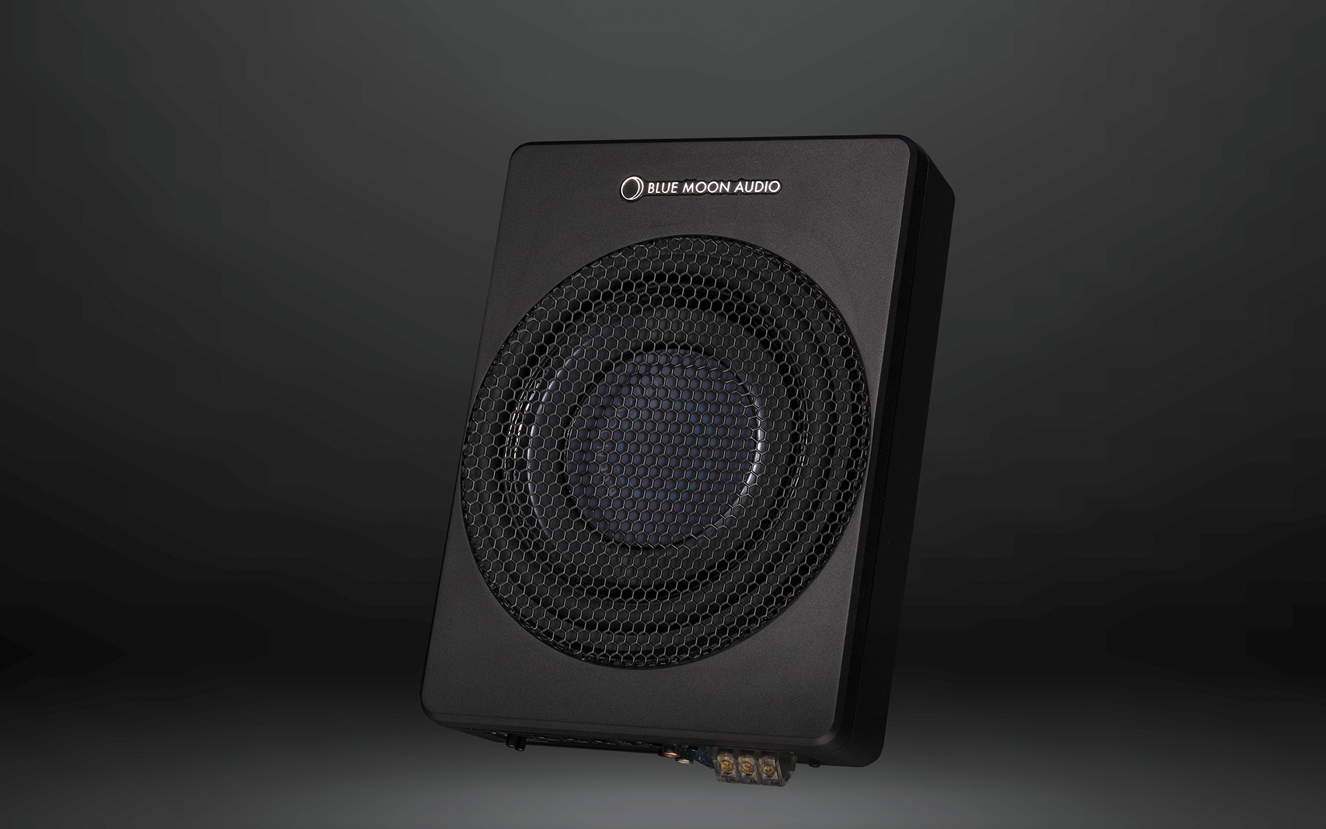8インチ・アクティブサブウーファー「PSW200」