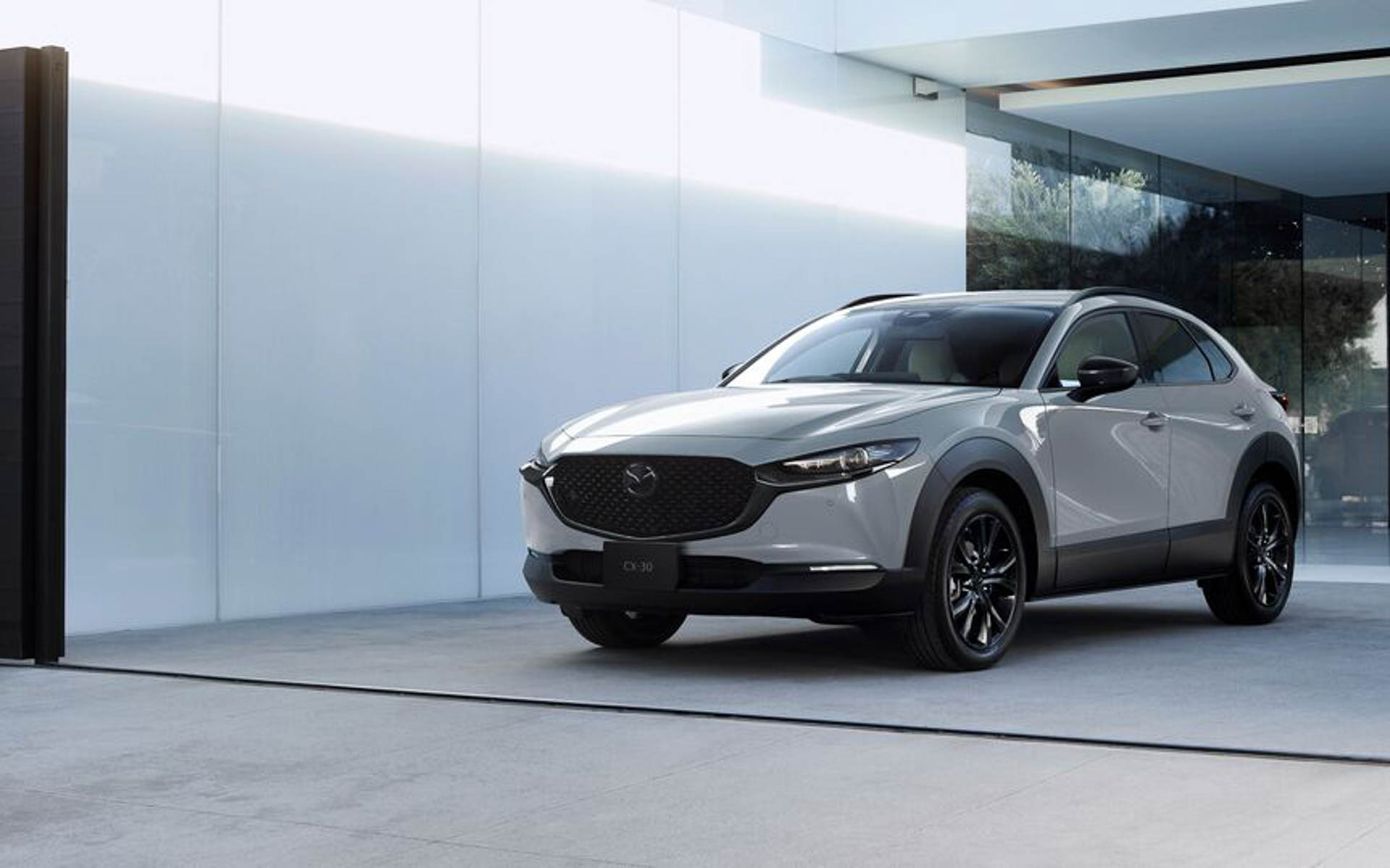 CX-30