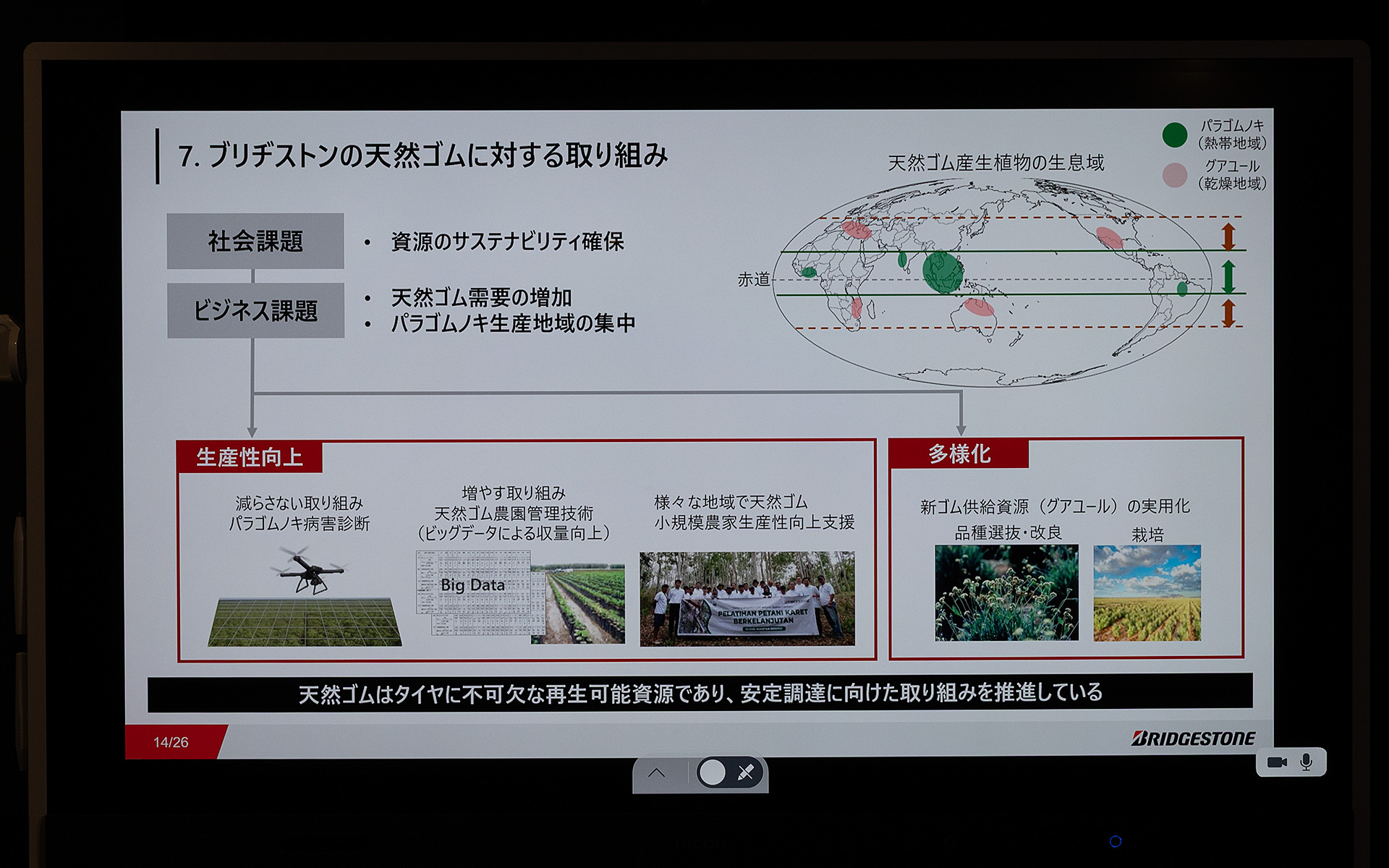 ブリヂストンの天然ゴムに対する取り組み。社会課題とビジネス課題の2つについて考えている